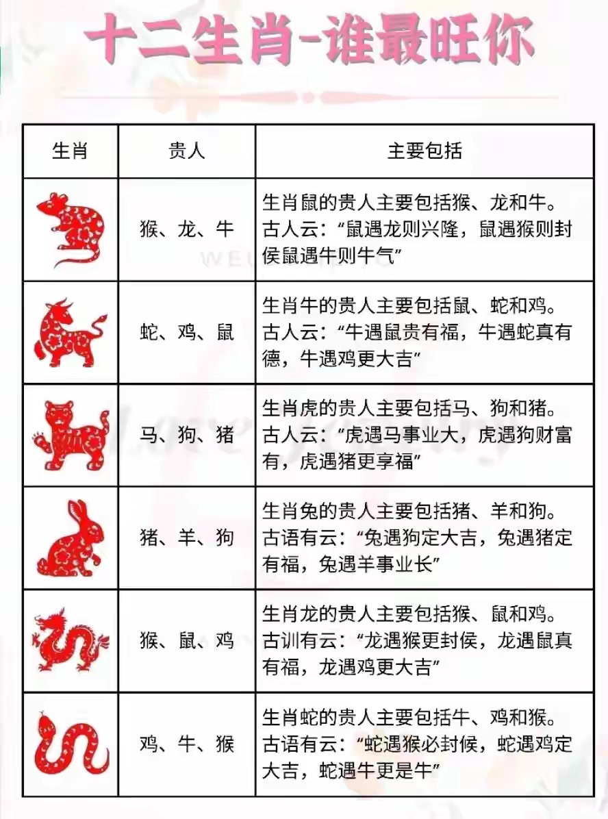 十二生肖哪位生肖运势最好(12生肖运势最好的生肖)