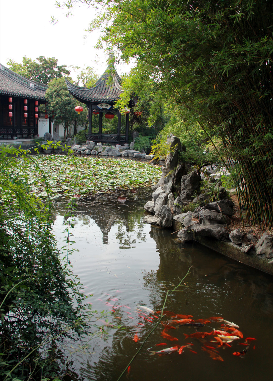 昨天携老伴来到位于姚江岸边的宁波梁祝文化公园游玩.