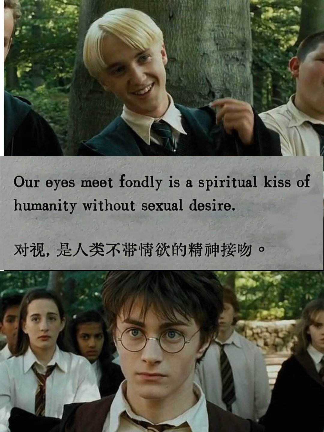 就这个德哈爽! #哈利波特# #德哈