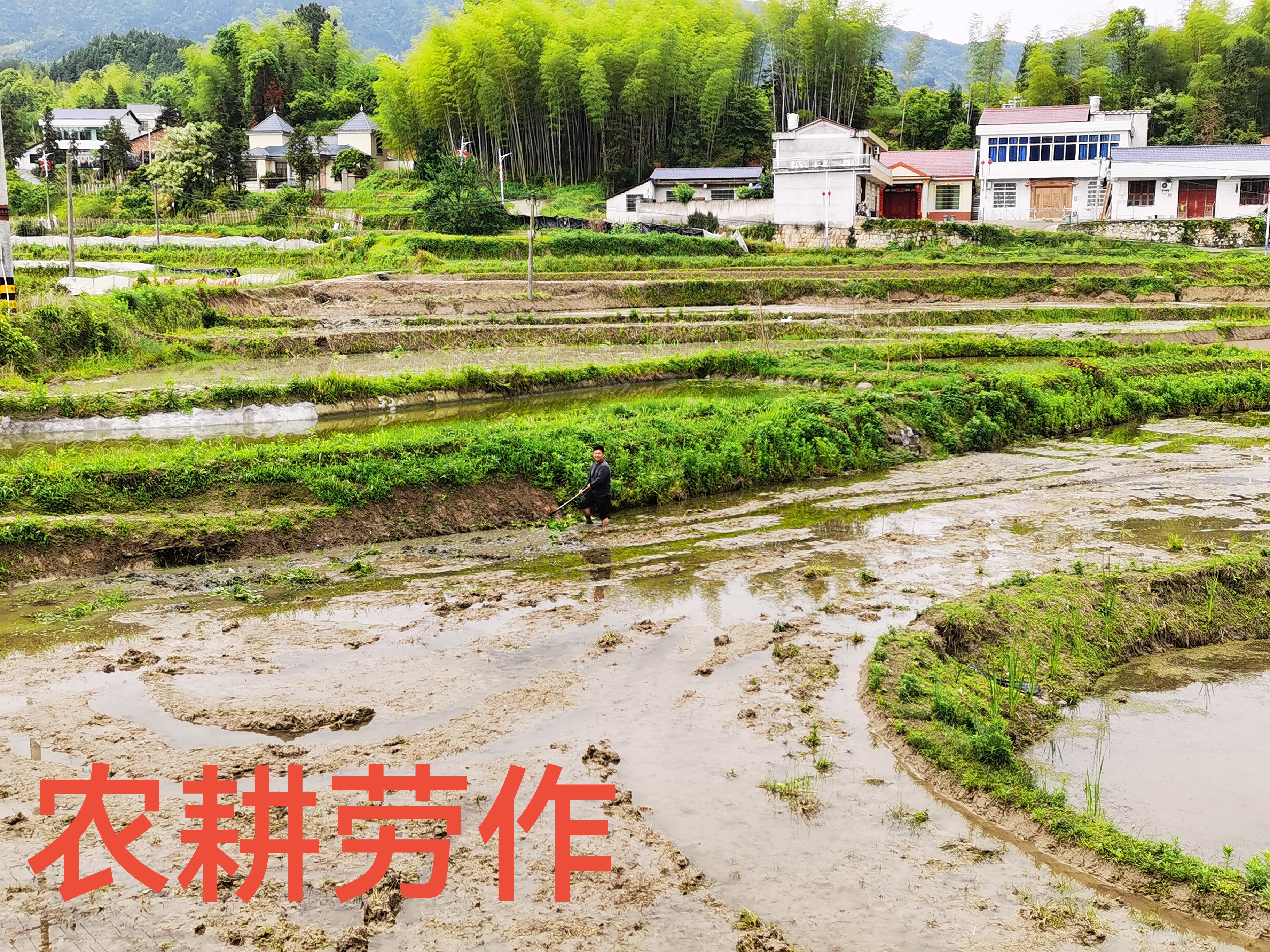 兄弟家常唠,陶醉在乡村