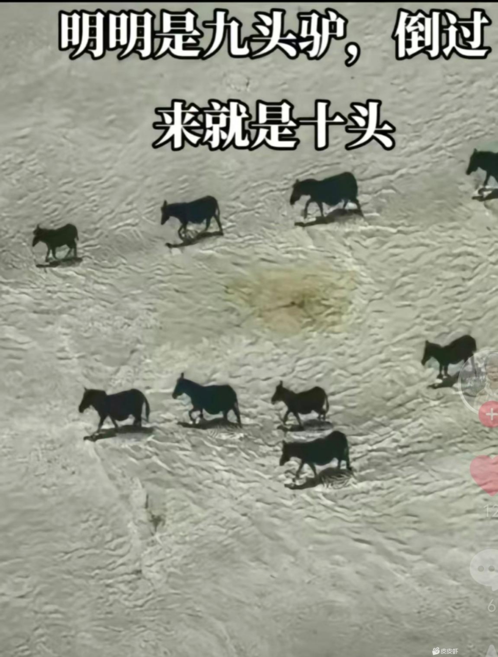 神奇的一张图,明明是九头驴,为什么倒过来就是十头?