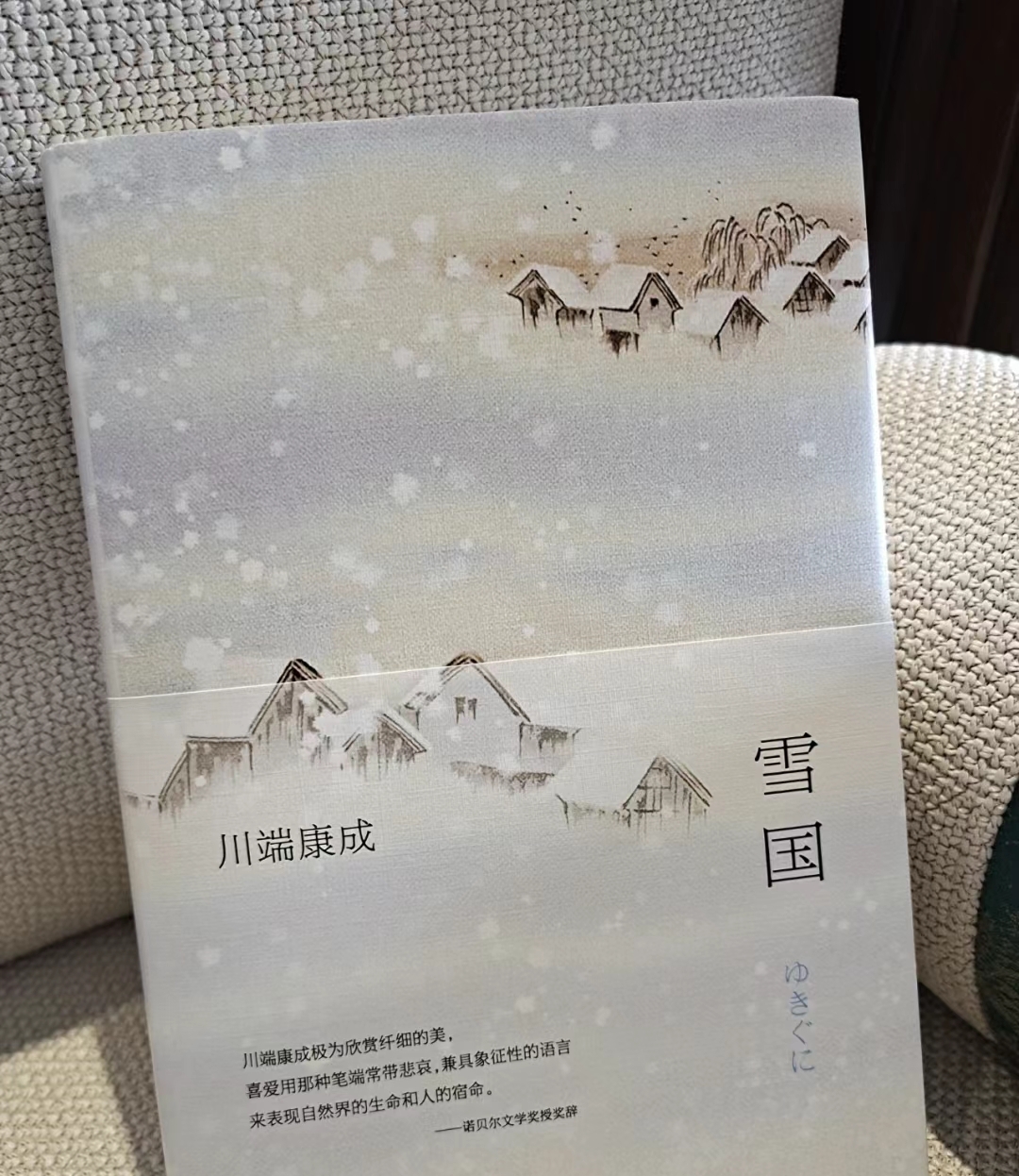 [书名]雪国 [作者]川端康成  这本书是日本作家川端康成的代表作之一