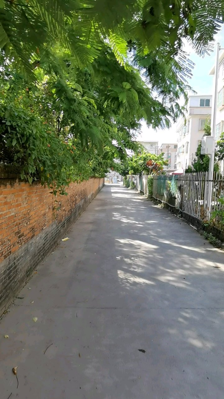 大自然# 壬水女命 出生日子的天干是壬,水是壬的五行属性,所以叫壬 