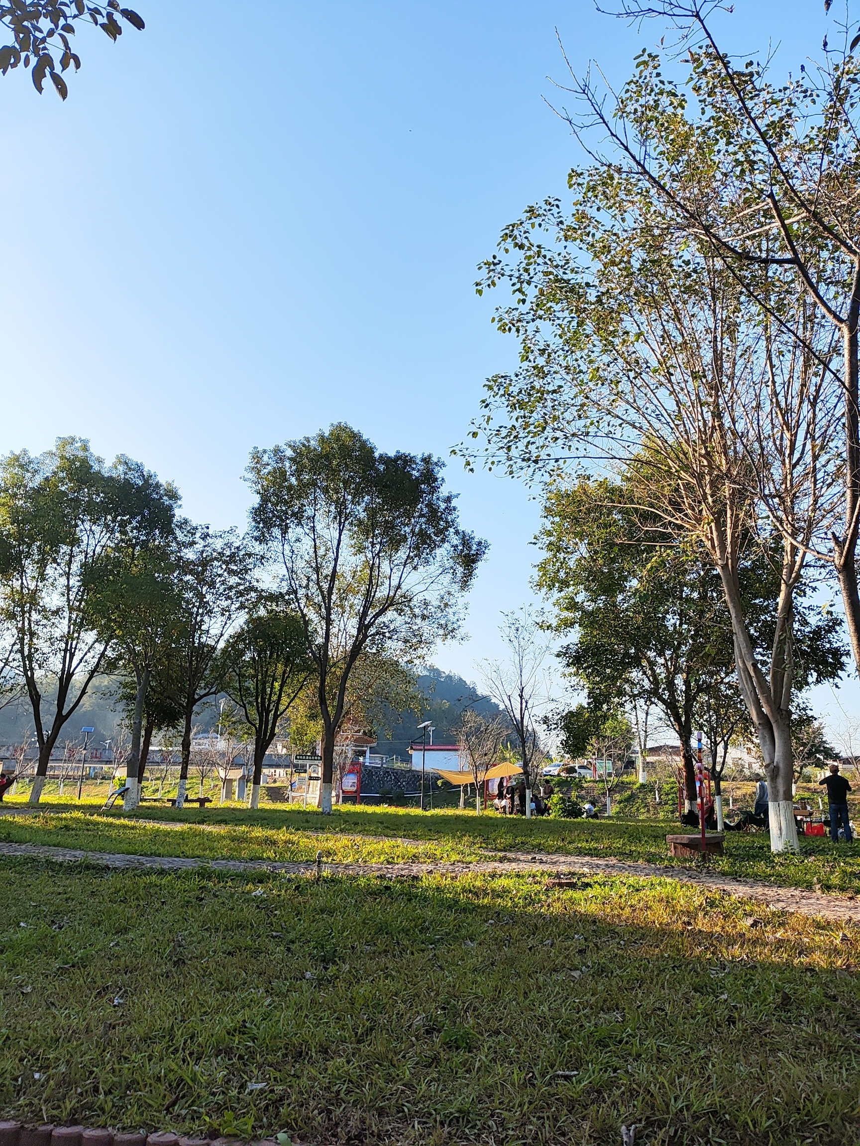 油榨街森林公园图片