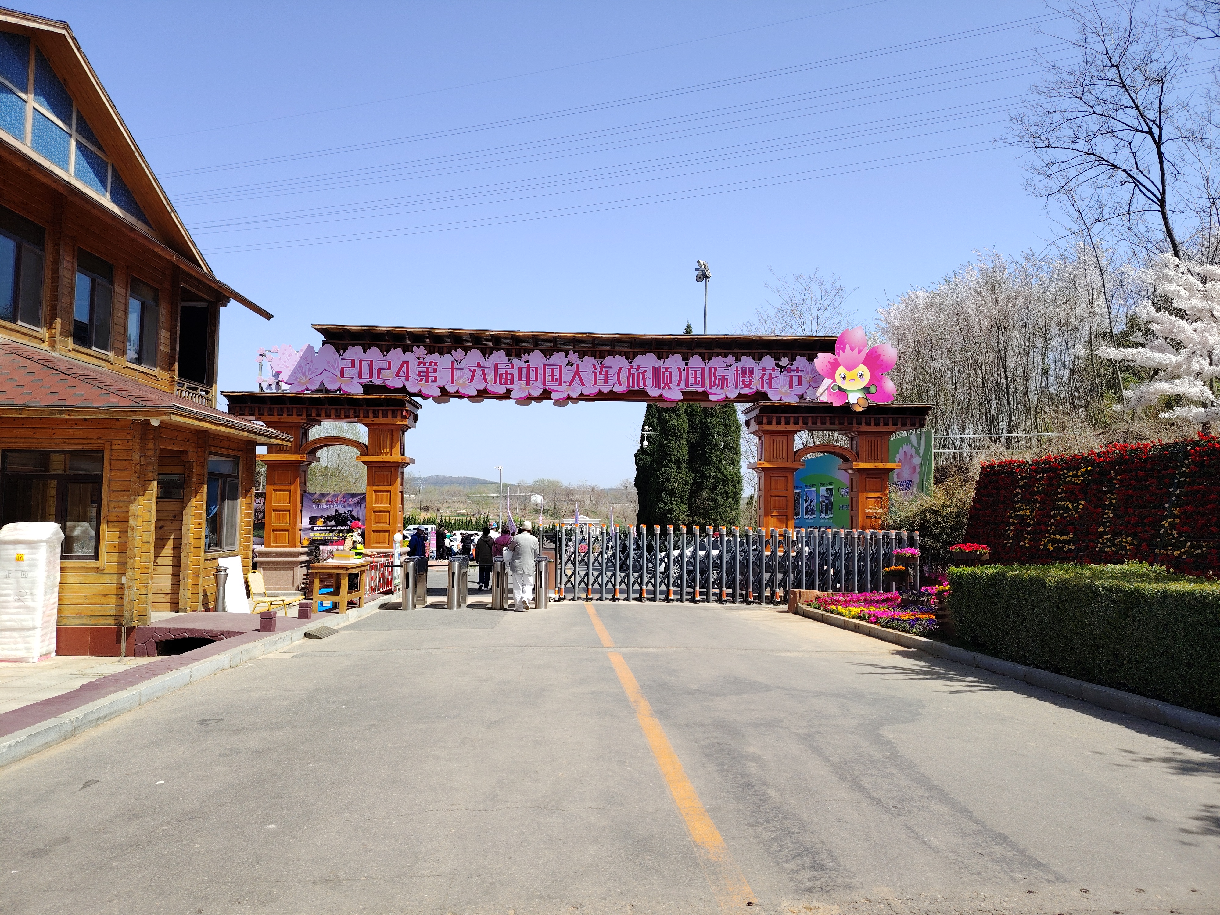 旅顺203樱花园(图片版)——大连旅顺的旅行日记#旅行