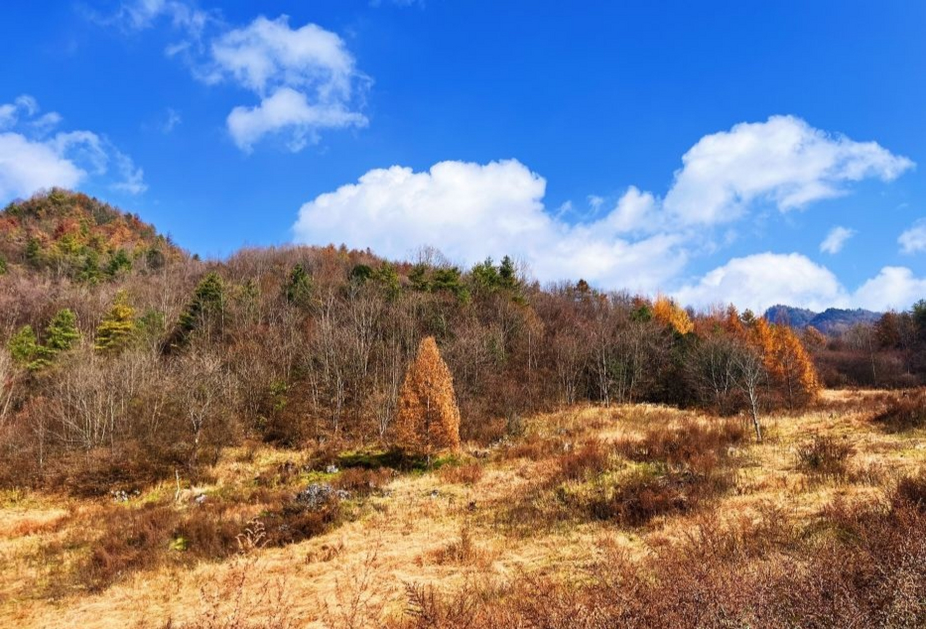 红池坝有哪些景点图片