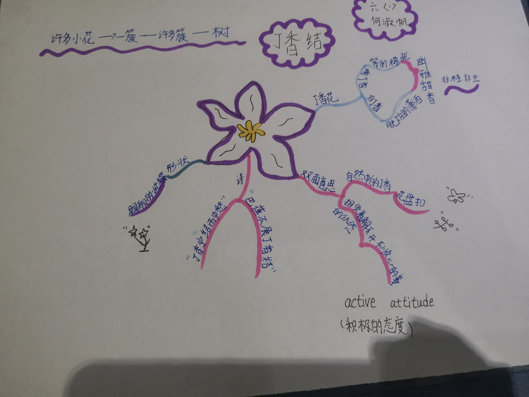 六年级下册第二课丁香结 思维导图