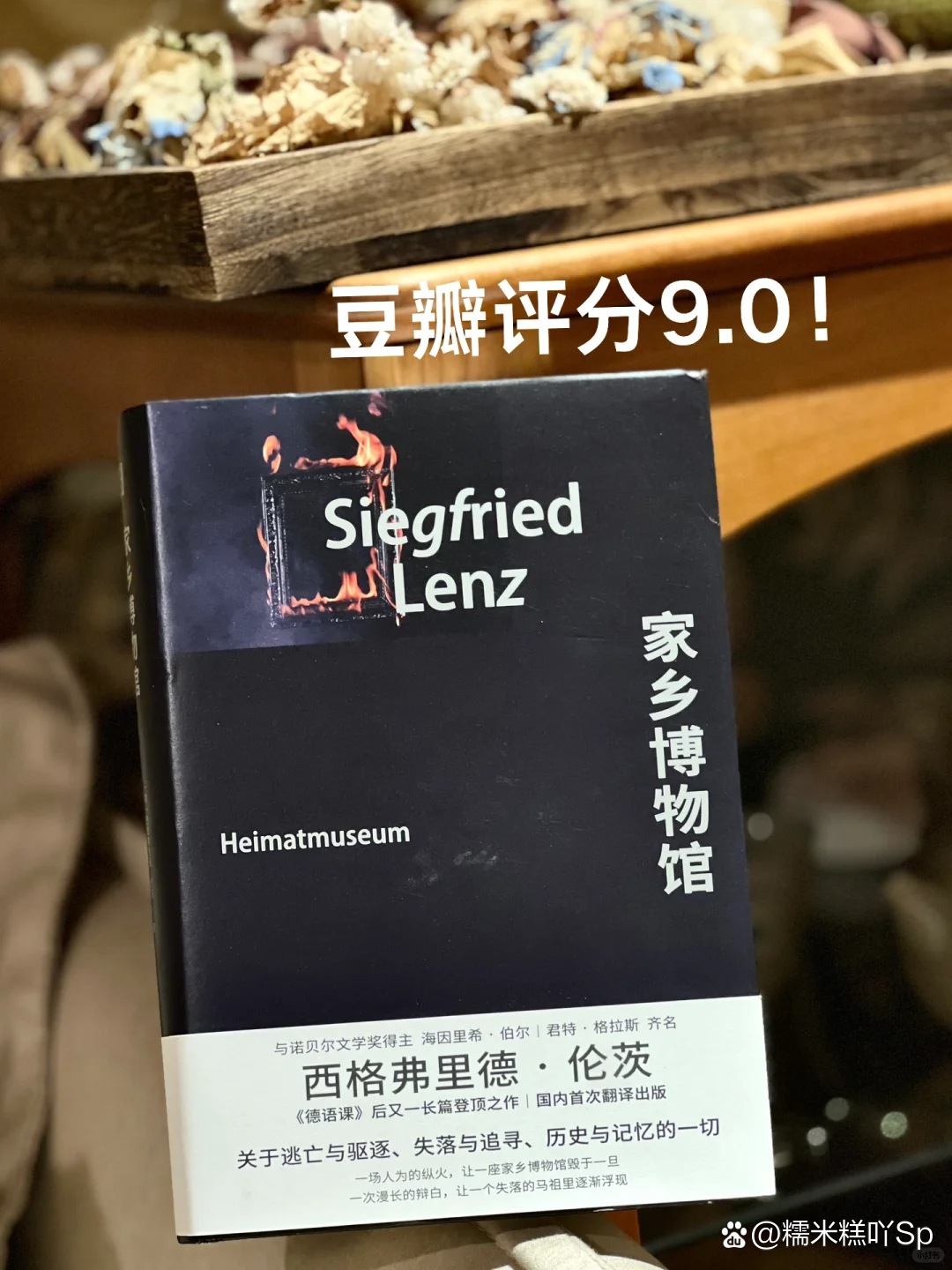 96西格弗里德·伦茨 享誉世界的德国文学巨匠,国宝级作家.