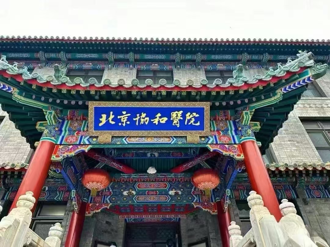 宣武医院老年人看病代挂号贴心细致服务,就医更有温度的简单介绍 宣武医院老年人看病代挂号贴心细致服务,就医更有温度的简单介绍