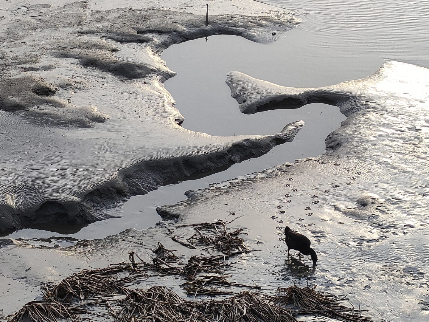 凡事首先都要靠自己,千万别想着依赖任何人,养成惰性