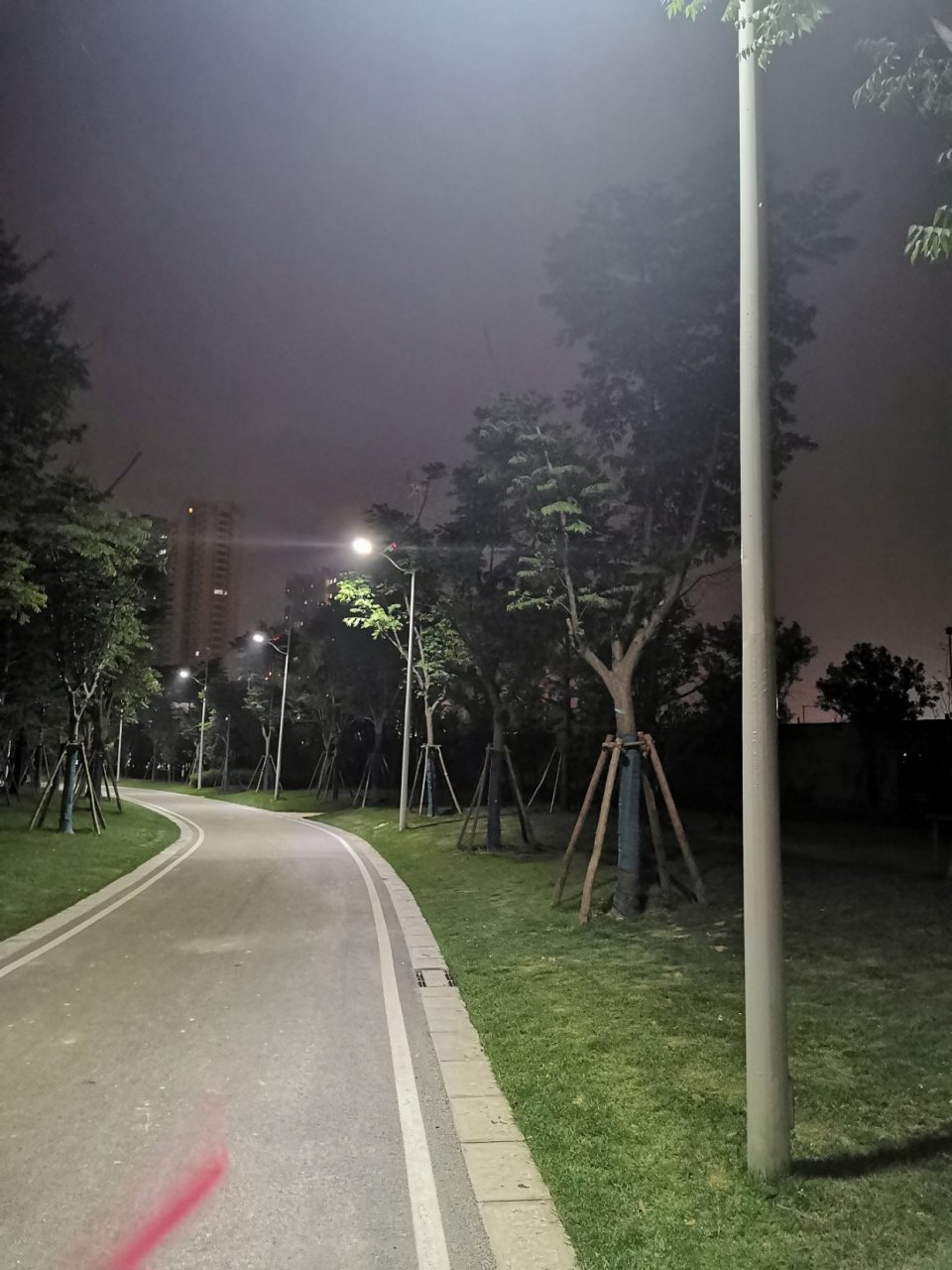 夜晚林间小道图片