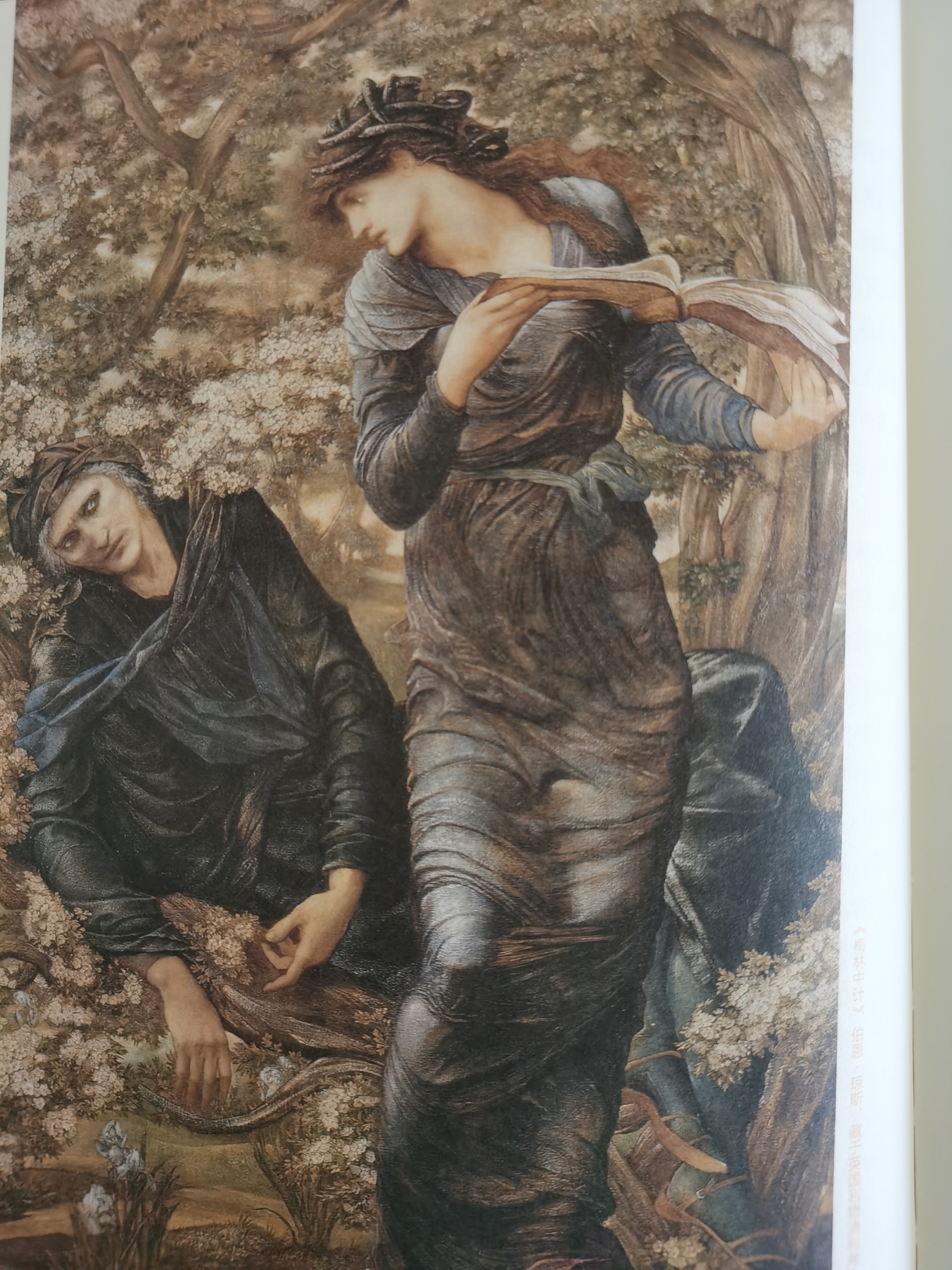 跟着科陶德艺术学院创始人欣赏名画  艺术是永恒的,与时代无关.