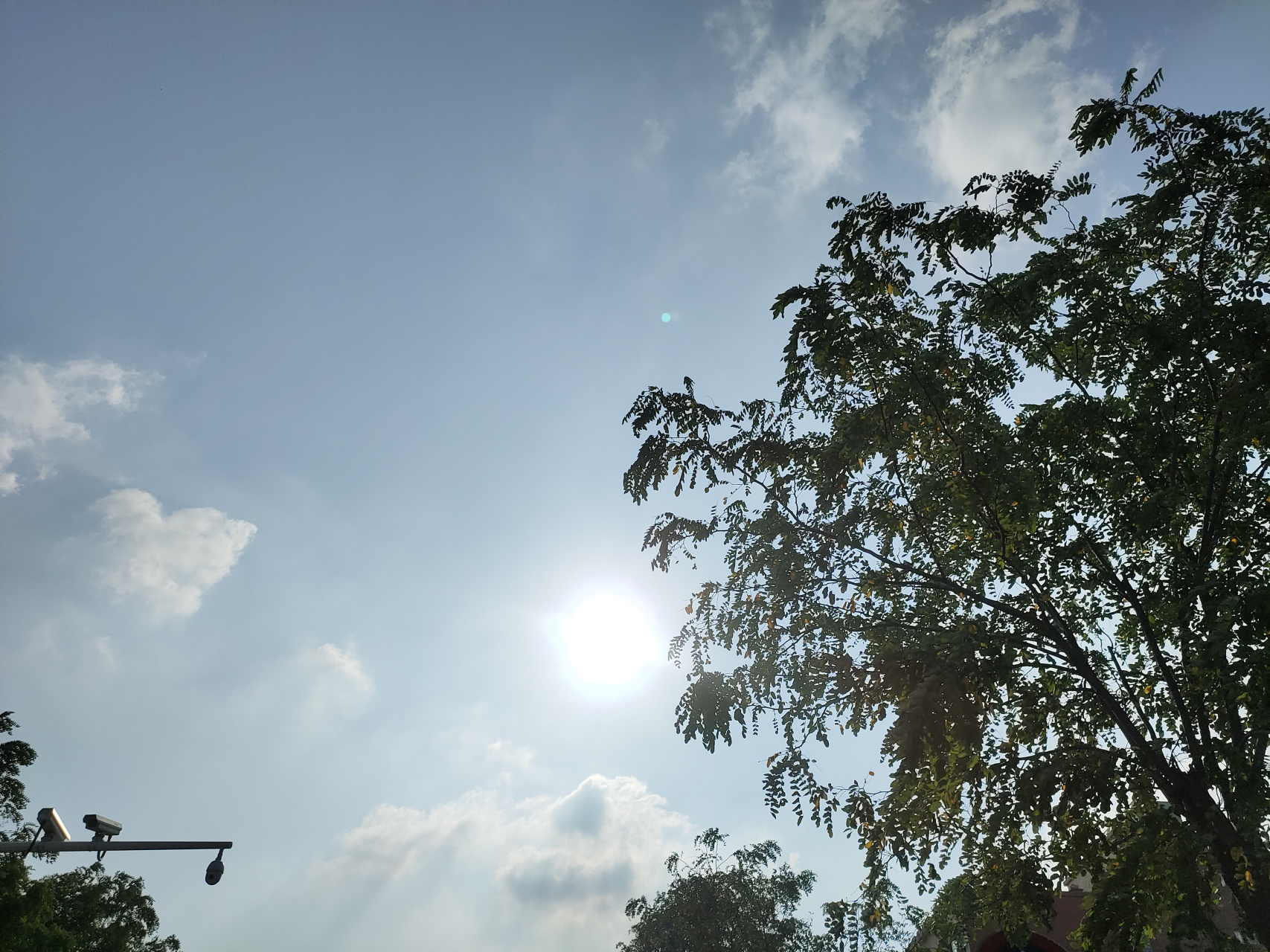 朝阳少女   作者:善恶同生 王初喜  天蓝蓝秋草香 是初生的阳光 鸟儿