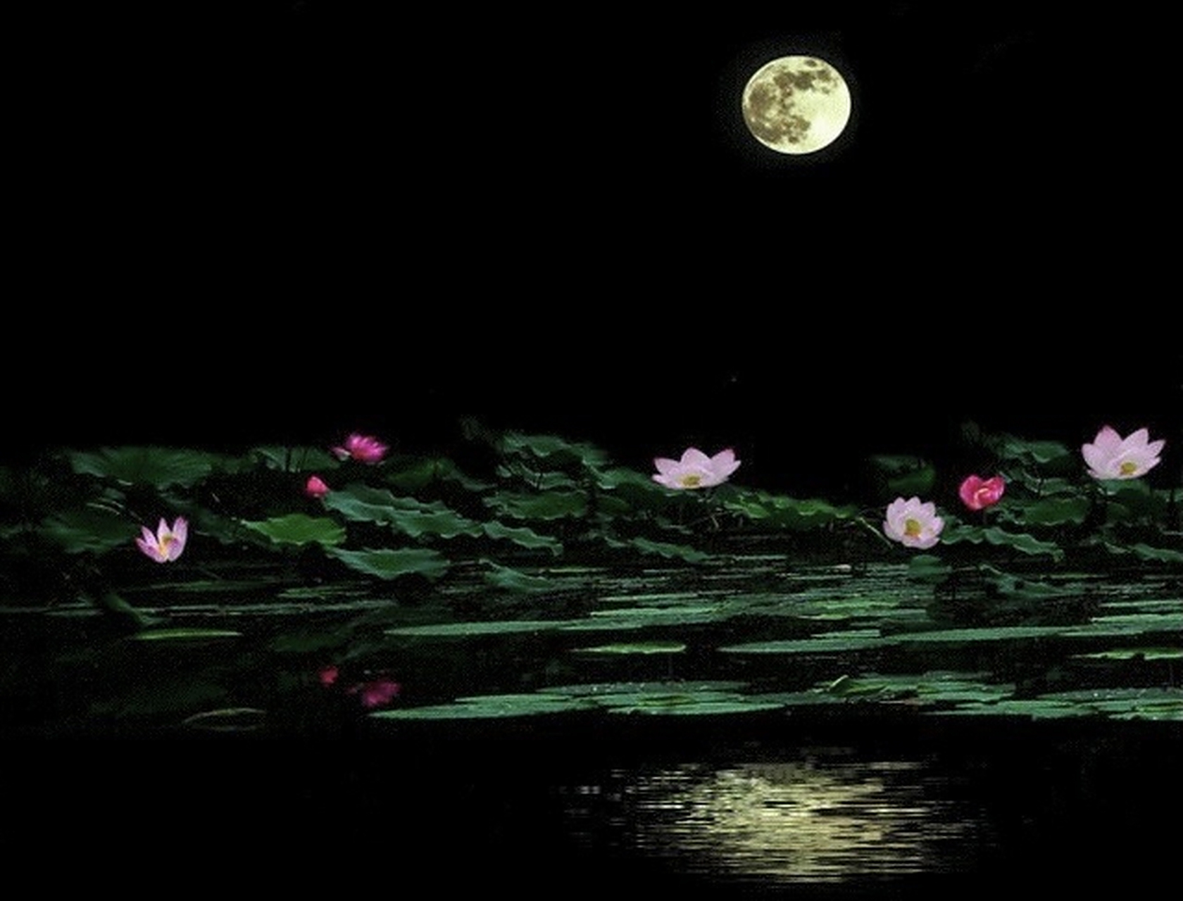 1.上联:望月相思起,下联:?  2. 上联