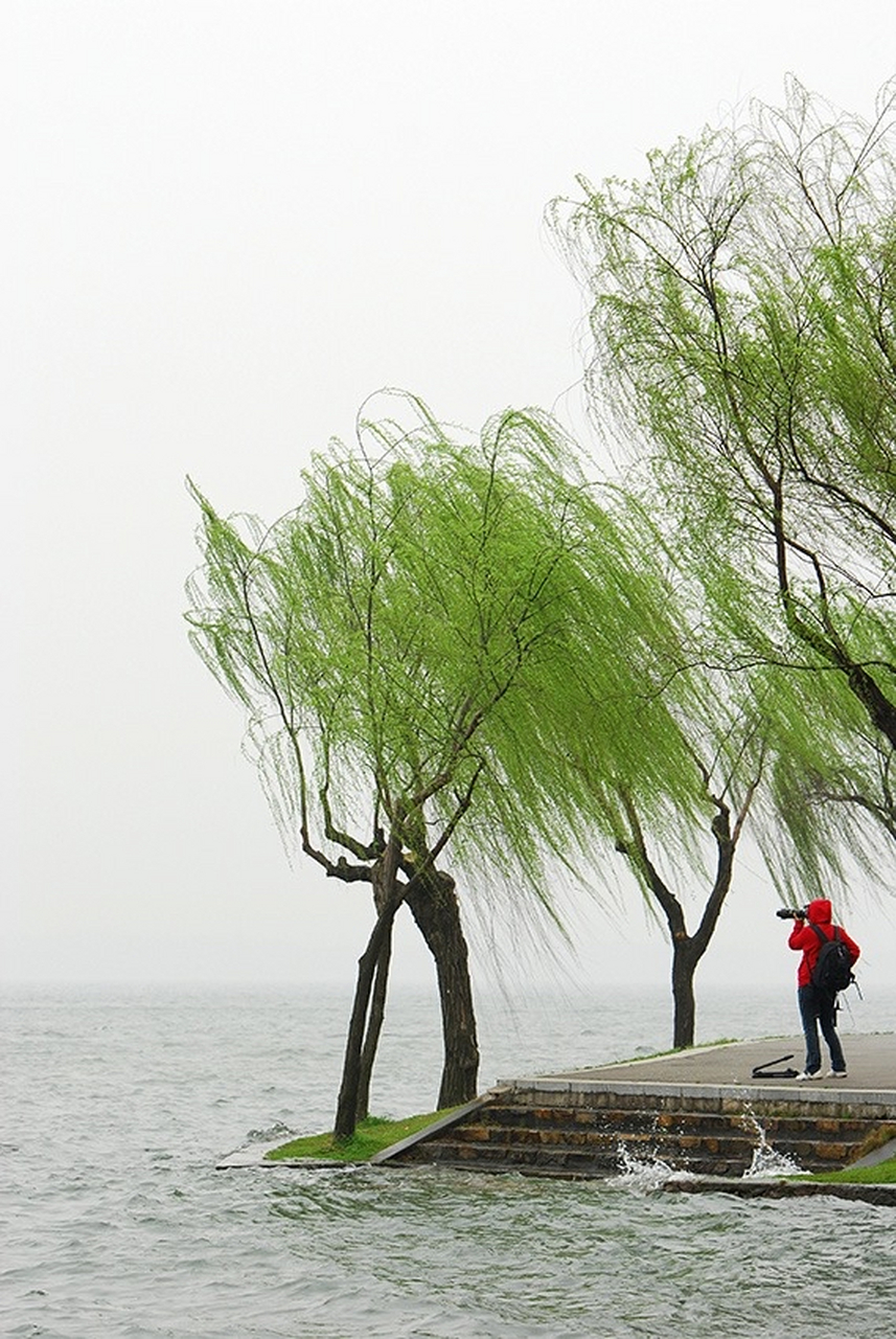 #上联: 春风梦挂诗一树