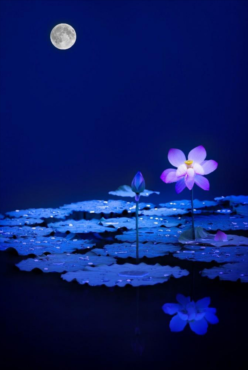 上联:风香荷影醉,下联:? 2.上联:月朗荷塘难入静,下联:?