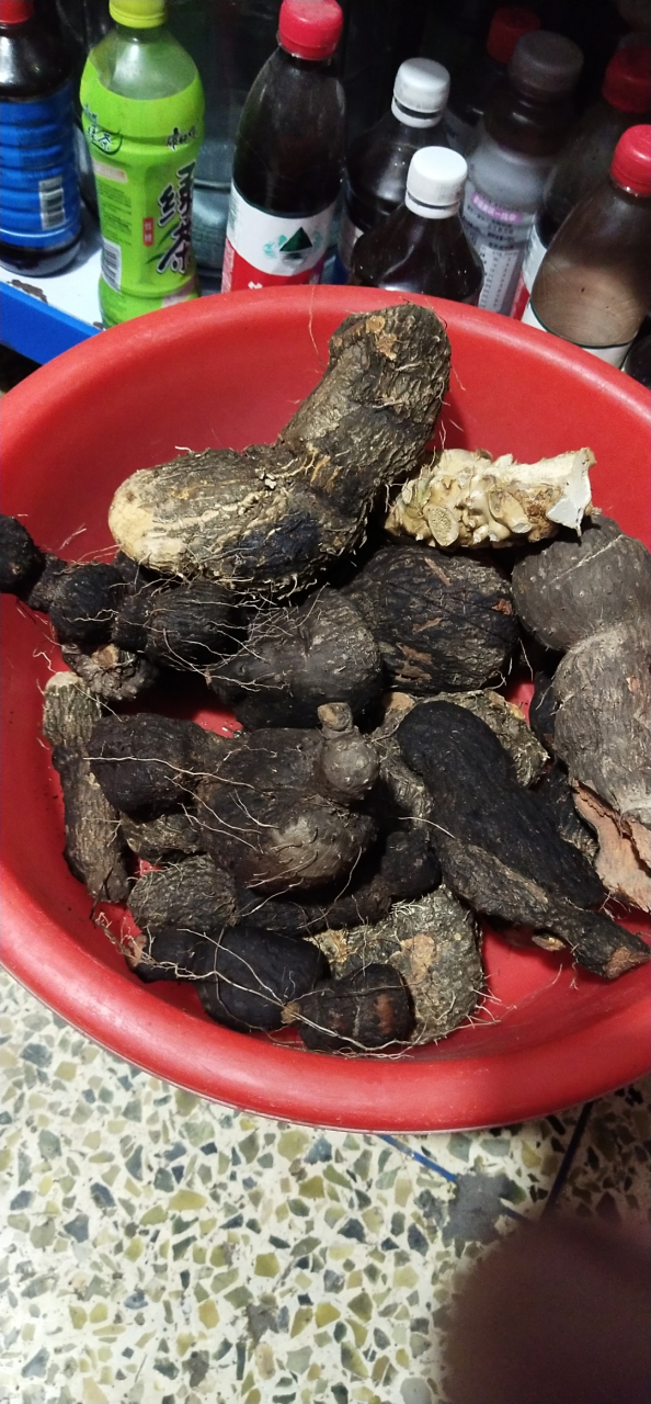 找了几个中药血母又叫血三七,孩儿七,主治各种出血症,有咳血,胃出血