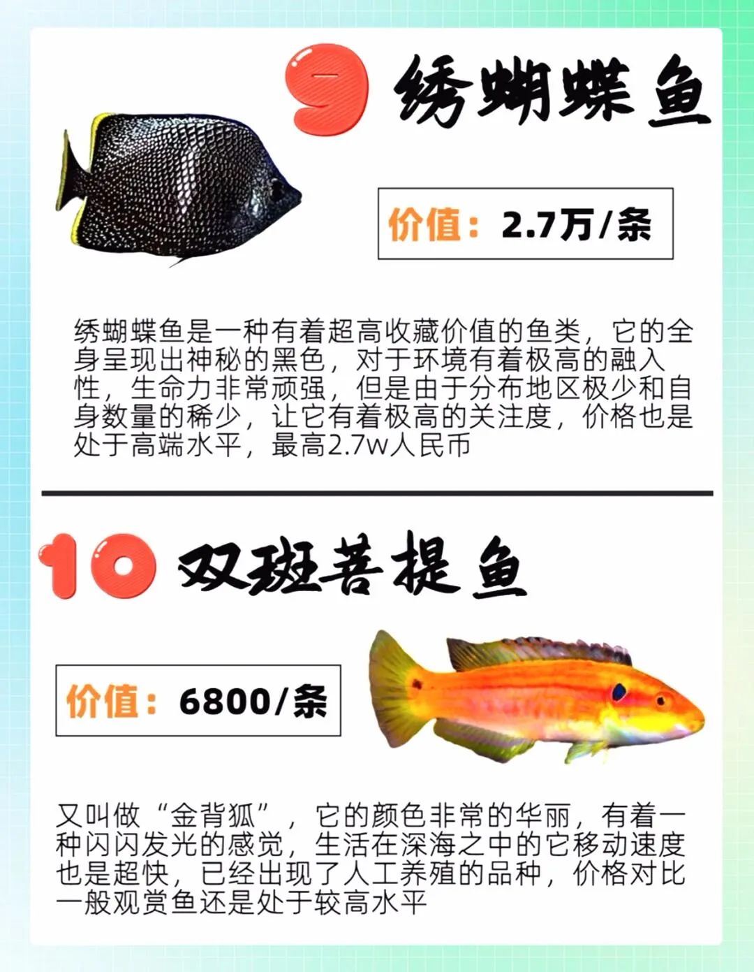 世界十大最贵观赏鱼 1,锦鲤楼兰2000万/条 2,血红龙413.