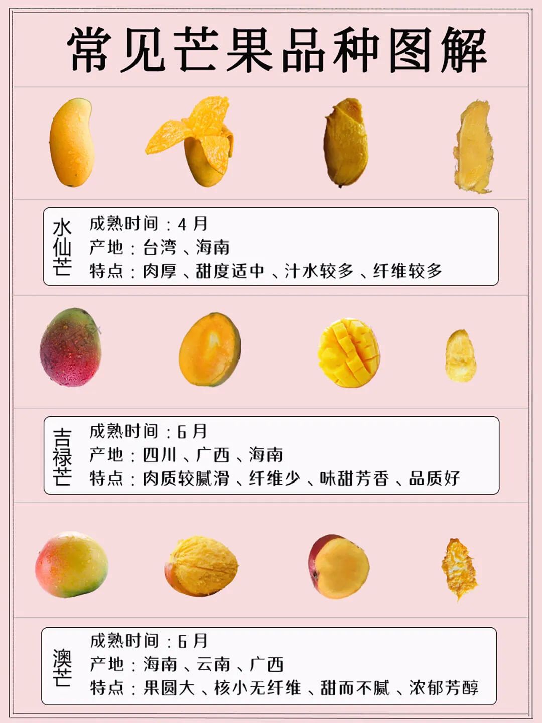 芒果缤纷哪一款是你的最爱 你喜欢吃的芒果是在哪里产的呢?