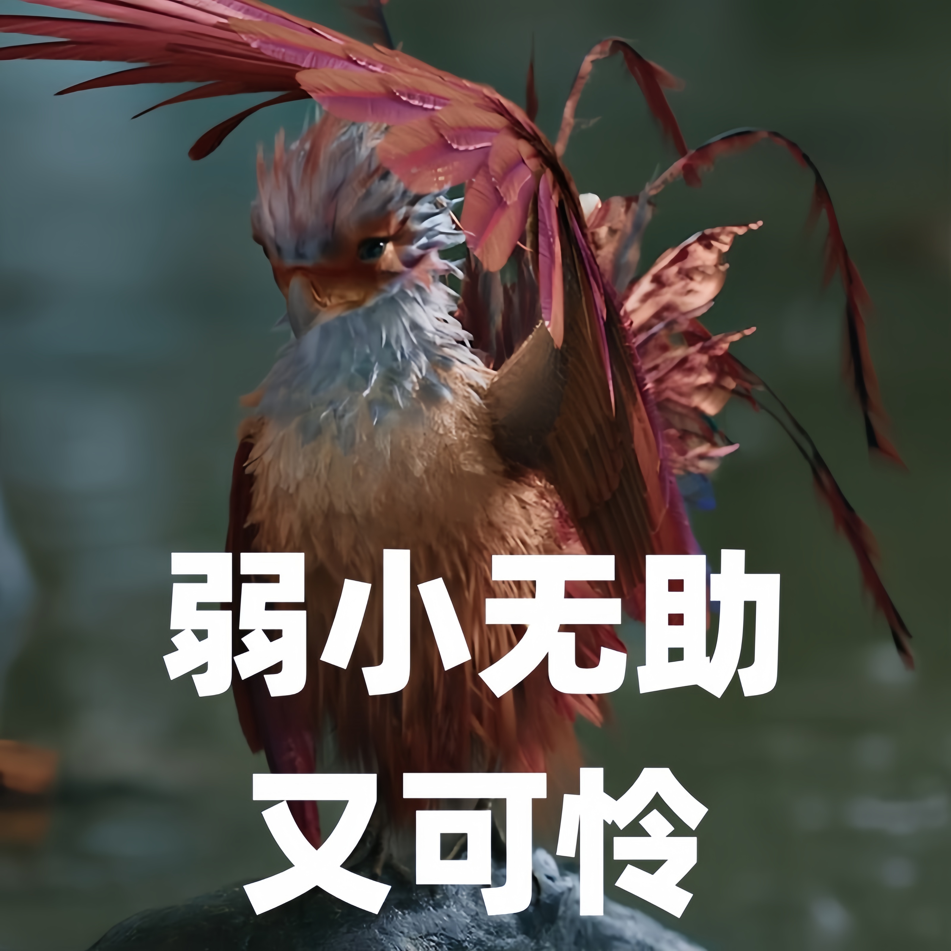 咯咯哒表情包,可爱傲娇碎嘴子的小凤凰谁不想拥有啊?
