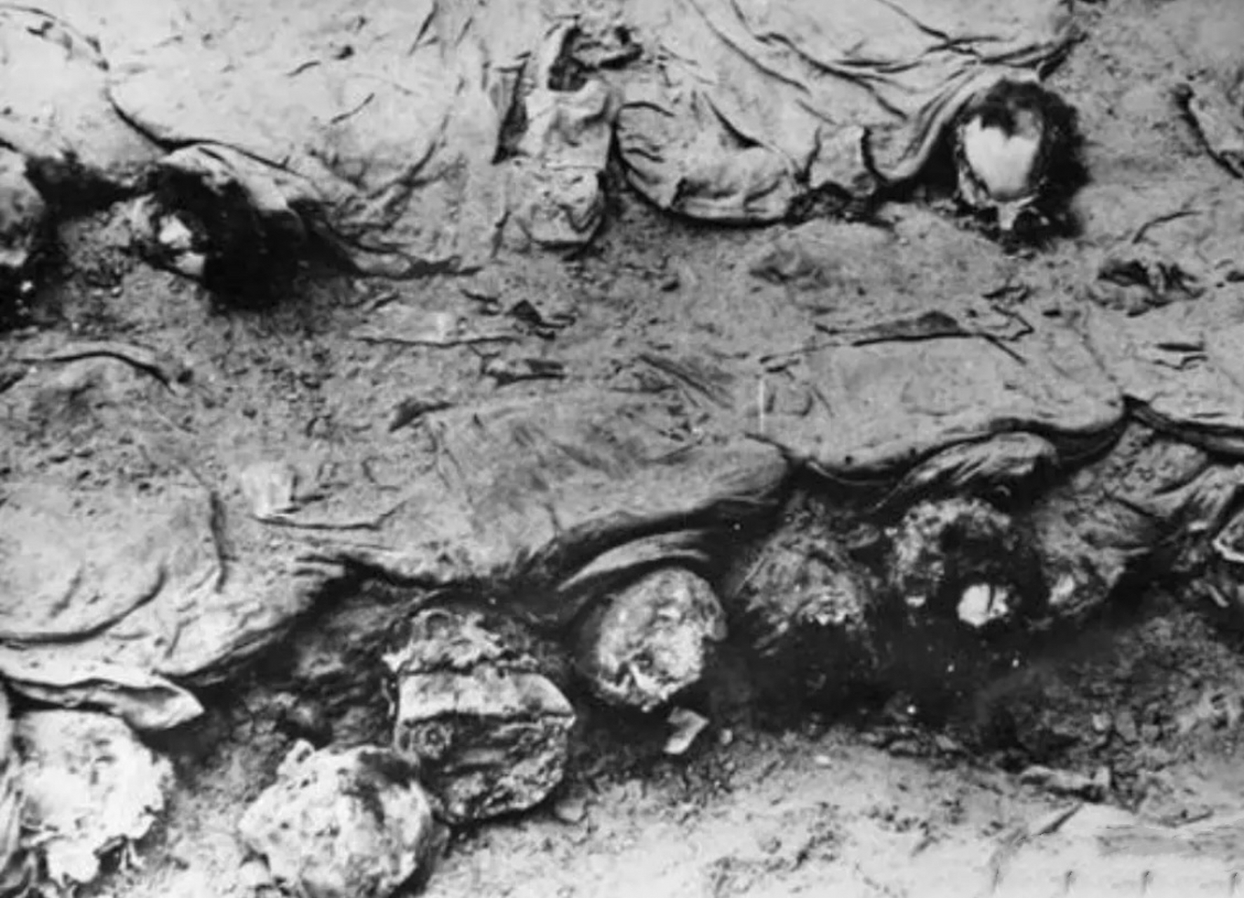 这是1943年卡廷惨案的发掘现场.