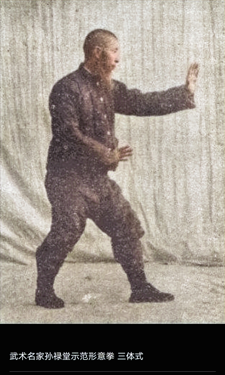 形意拳之三体式站桩 (练气法门) 一.