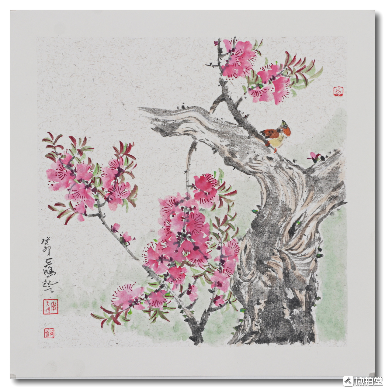 陈天鸿国画,写意花鸟画.