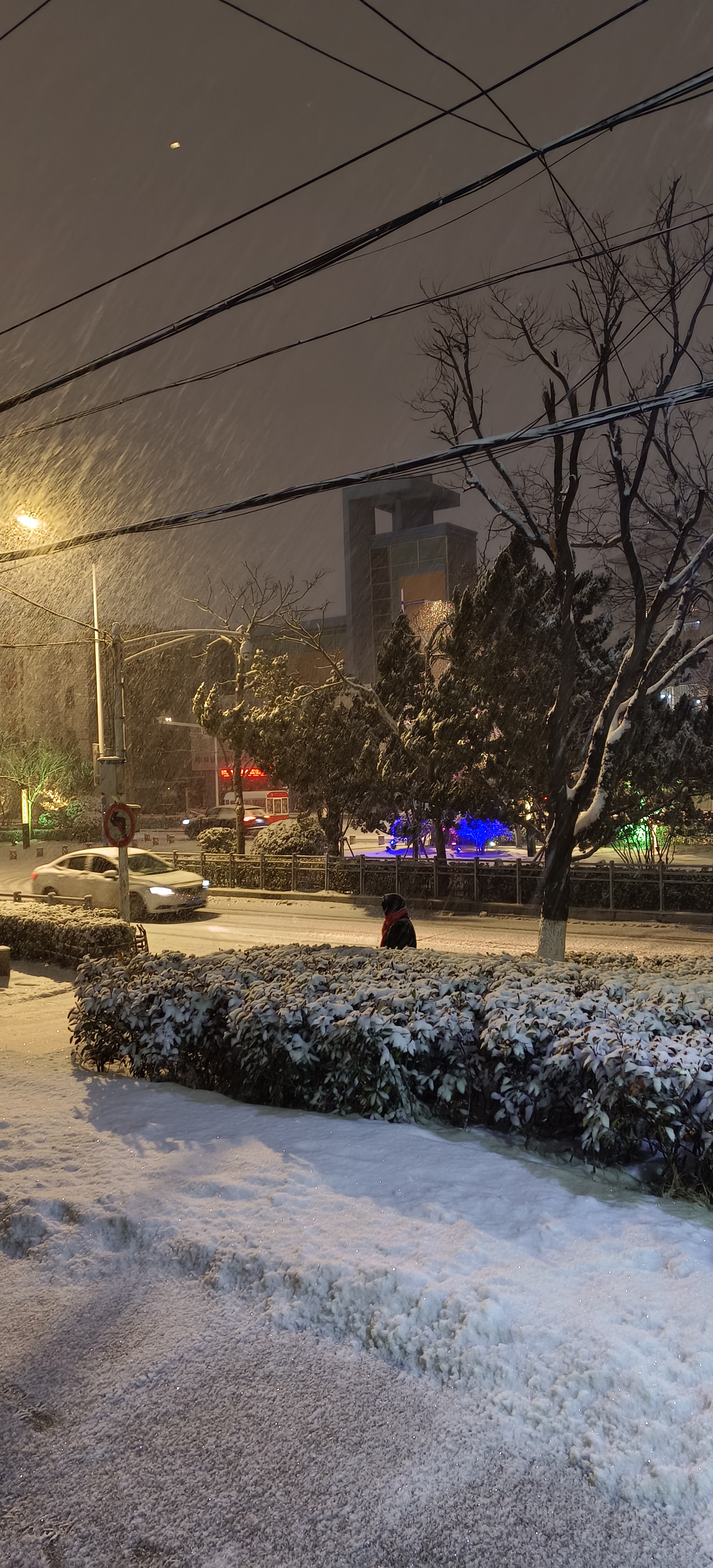 瑞雪迎新年图片