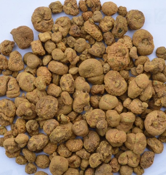 "哎呀,药材基地的元胡价格都涨到5元一斤啦!我得赶紧去多干几天!