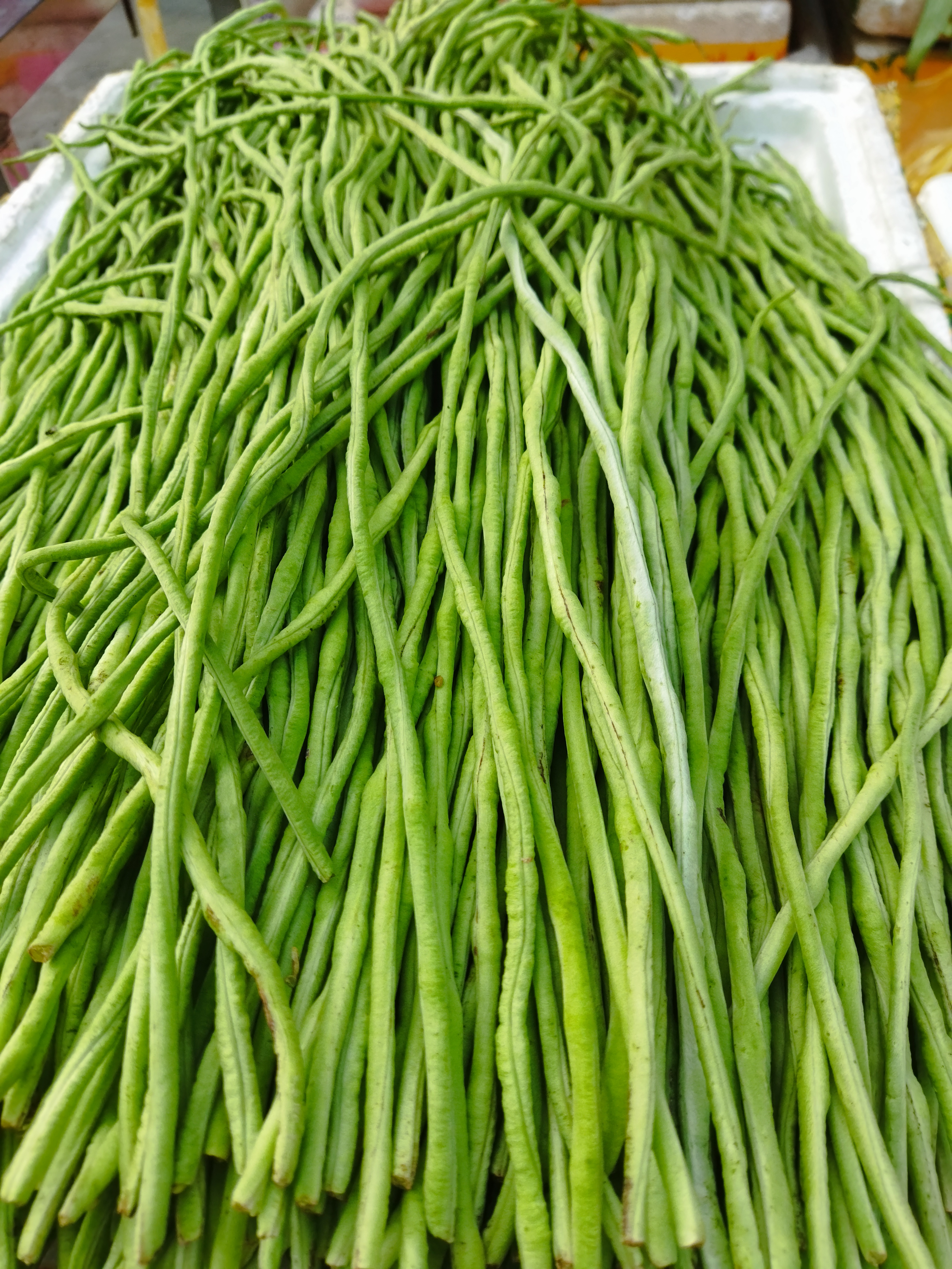 短的?粗的?细的?绿的?白的?