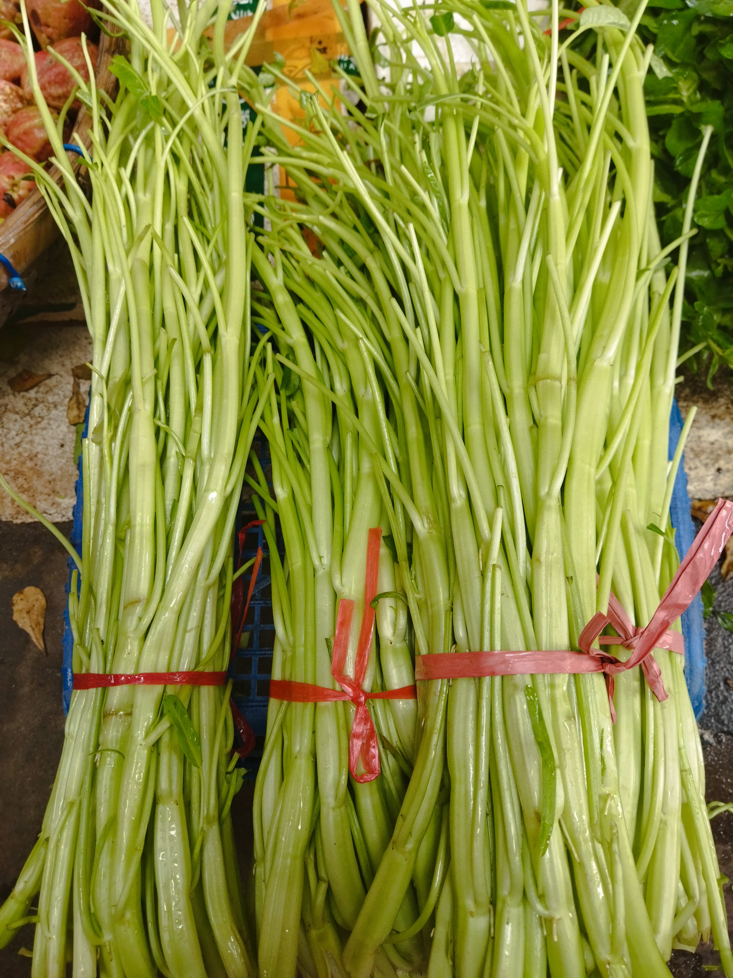 这种是什么菜?你们见过吗?