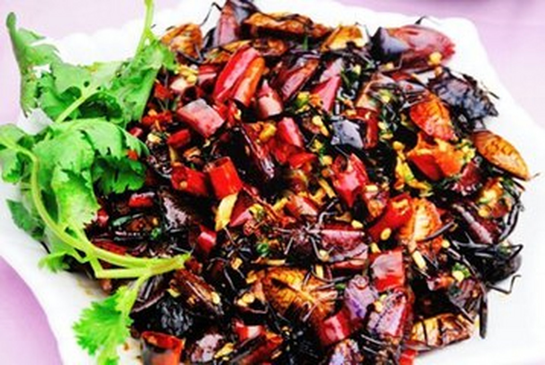 油炸九香虫i,这道美味多少人吃过呢?  九香虫,俗称打屁虫,因为它一旦