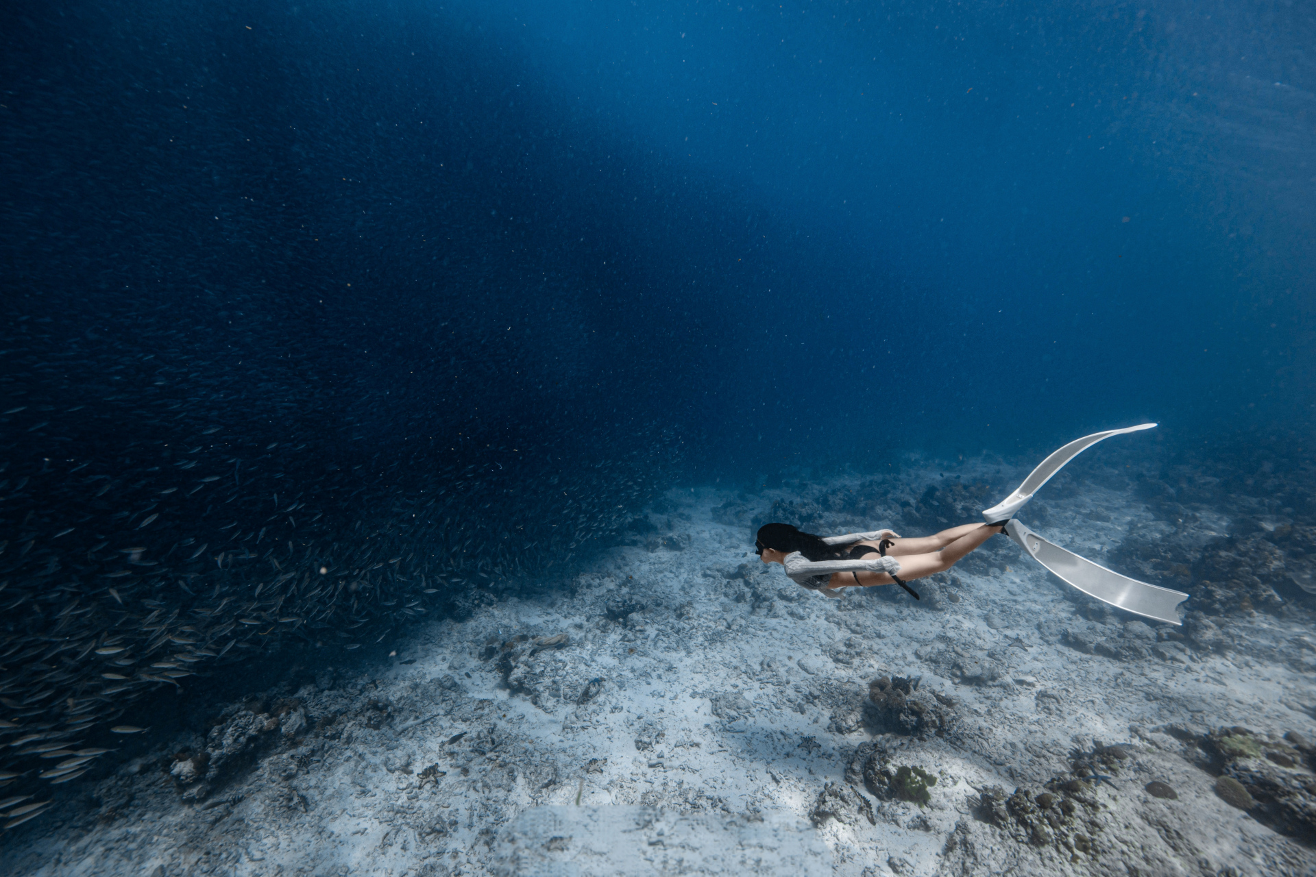 皆若空游无所依,鱼美人.