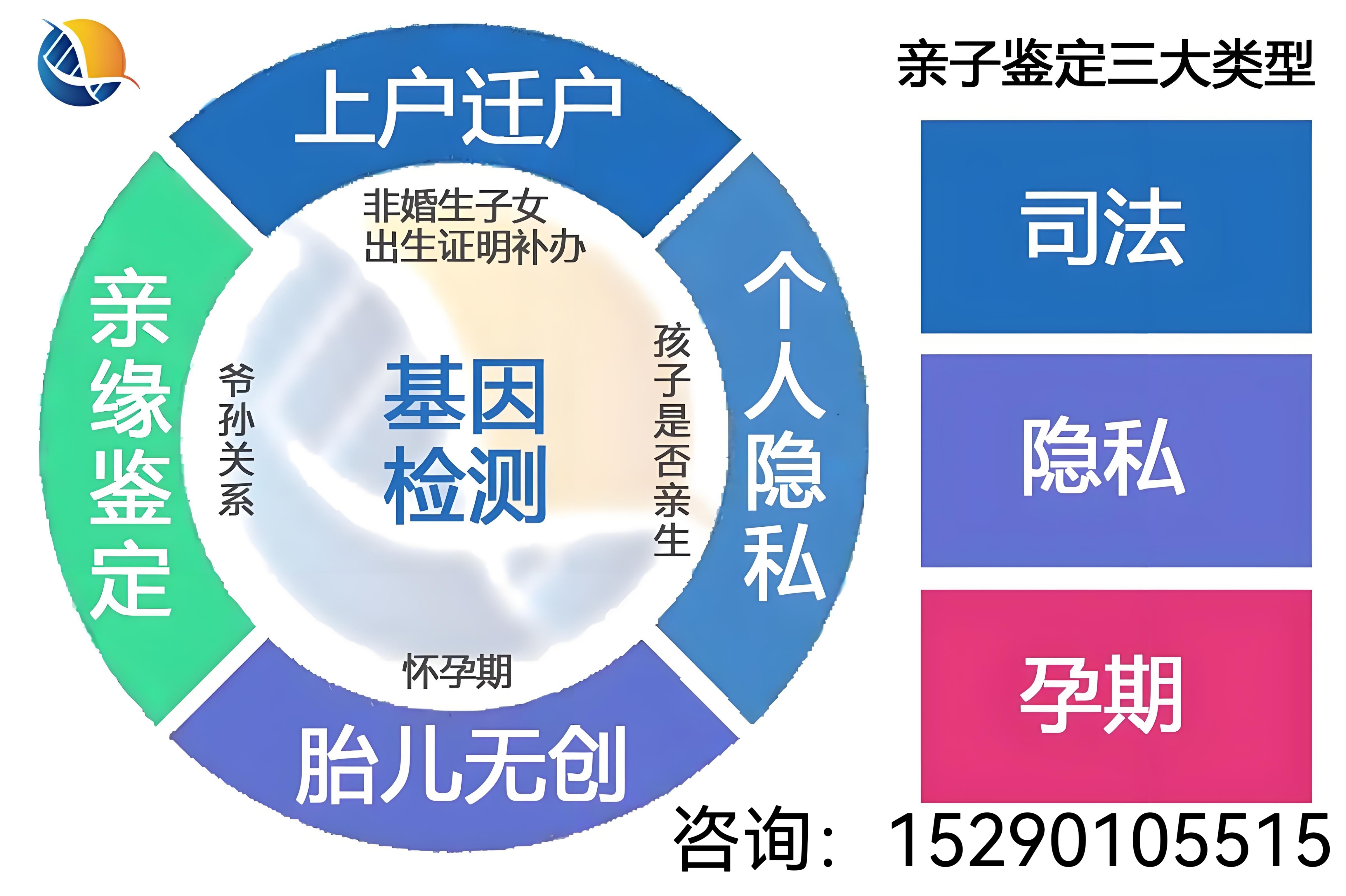 亲子鉴定图谱图片图片