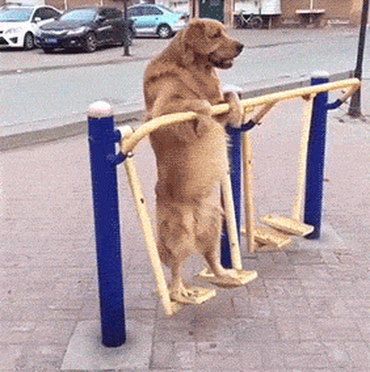 动态连更挑战# #热点引擎计划# 异频难共鸣  心