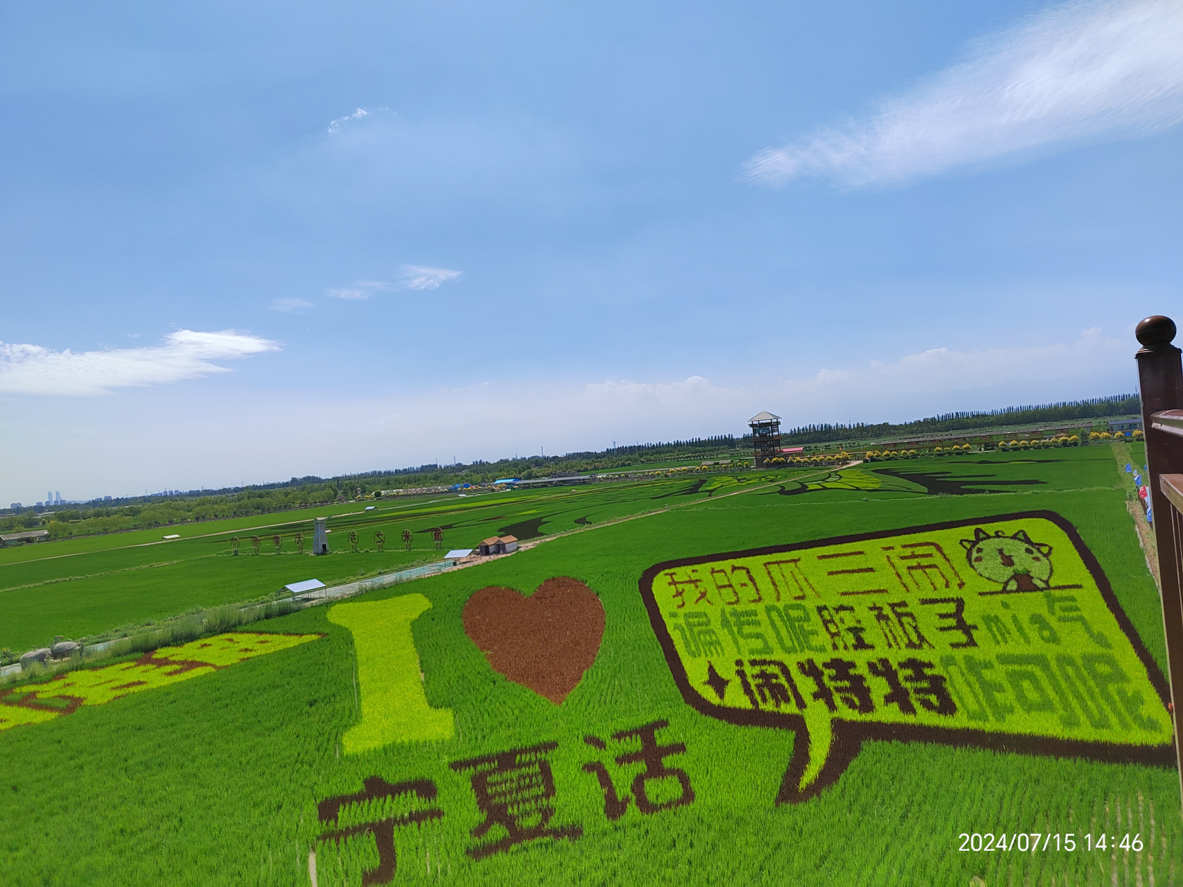 银川稻渔空间门票图片