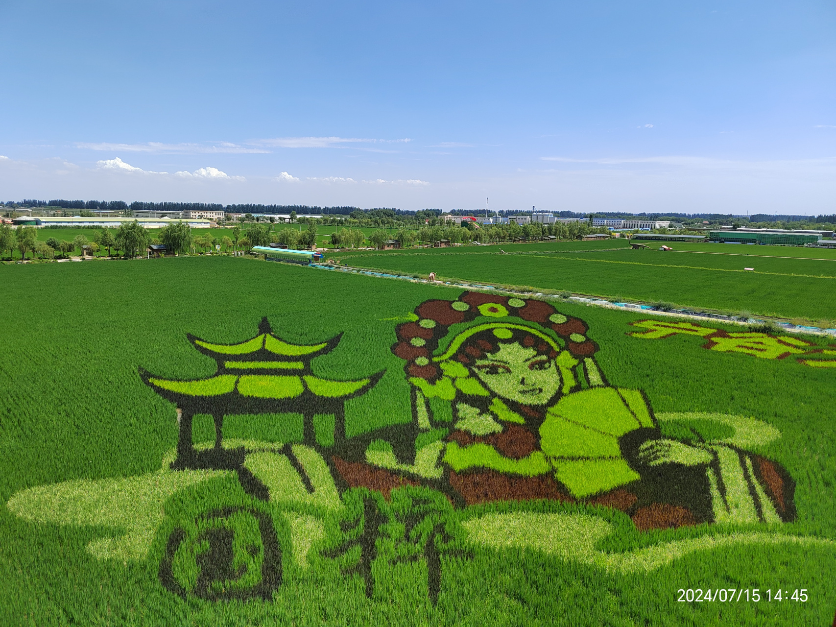 银川稻渔空间门票图片