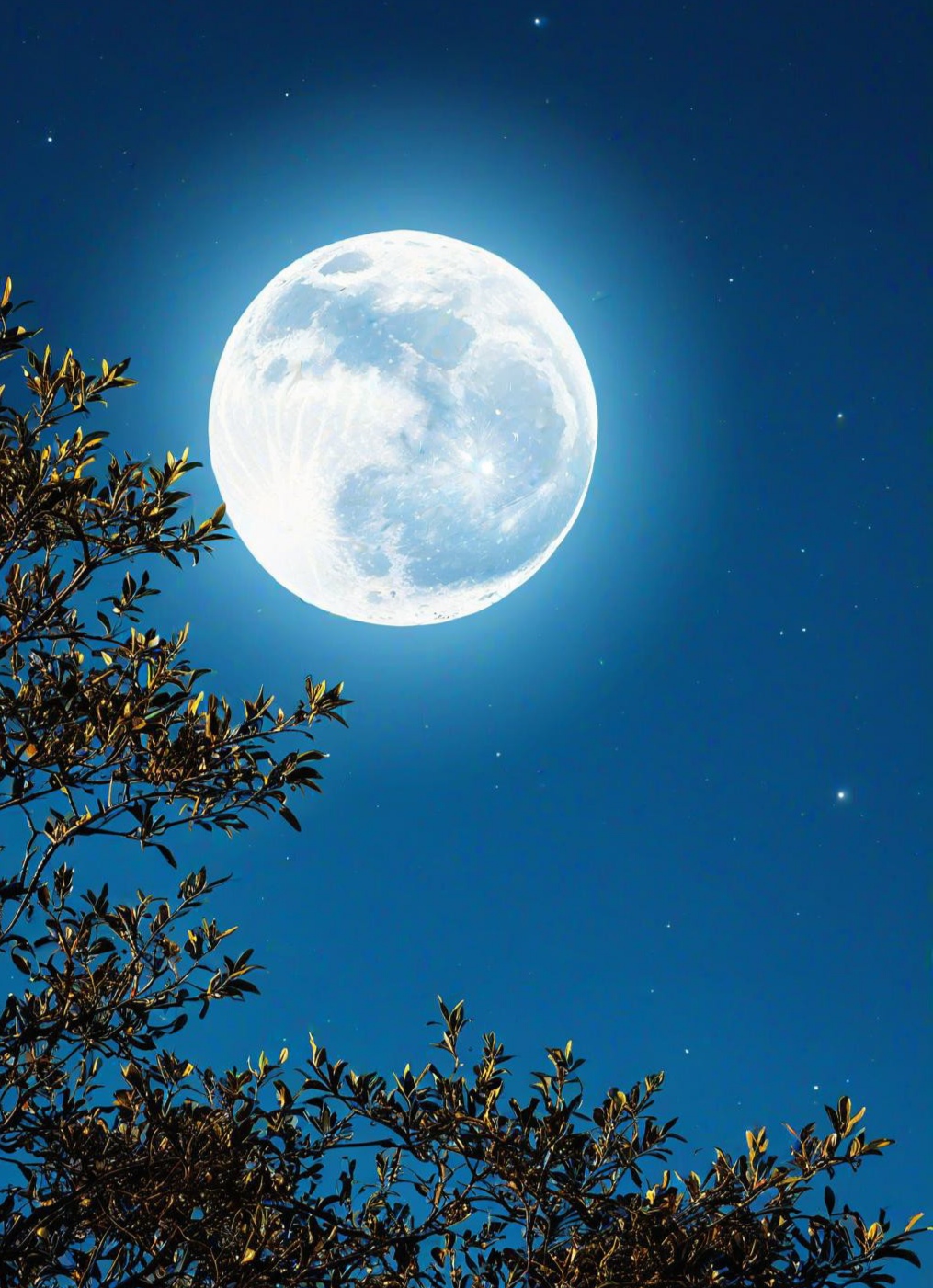 茶鼎香浮一更夜,书读半卷对月明. 心怀天下澄宇宙,竹露莲开游太空