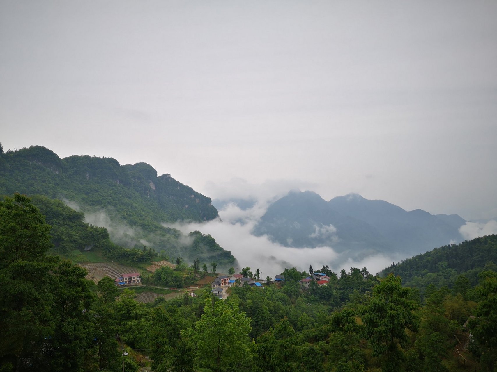 如果这样呢:远上寒山深径狭,白云生处有人家,停车坐爱枫林晚,霜叶红胜