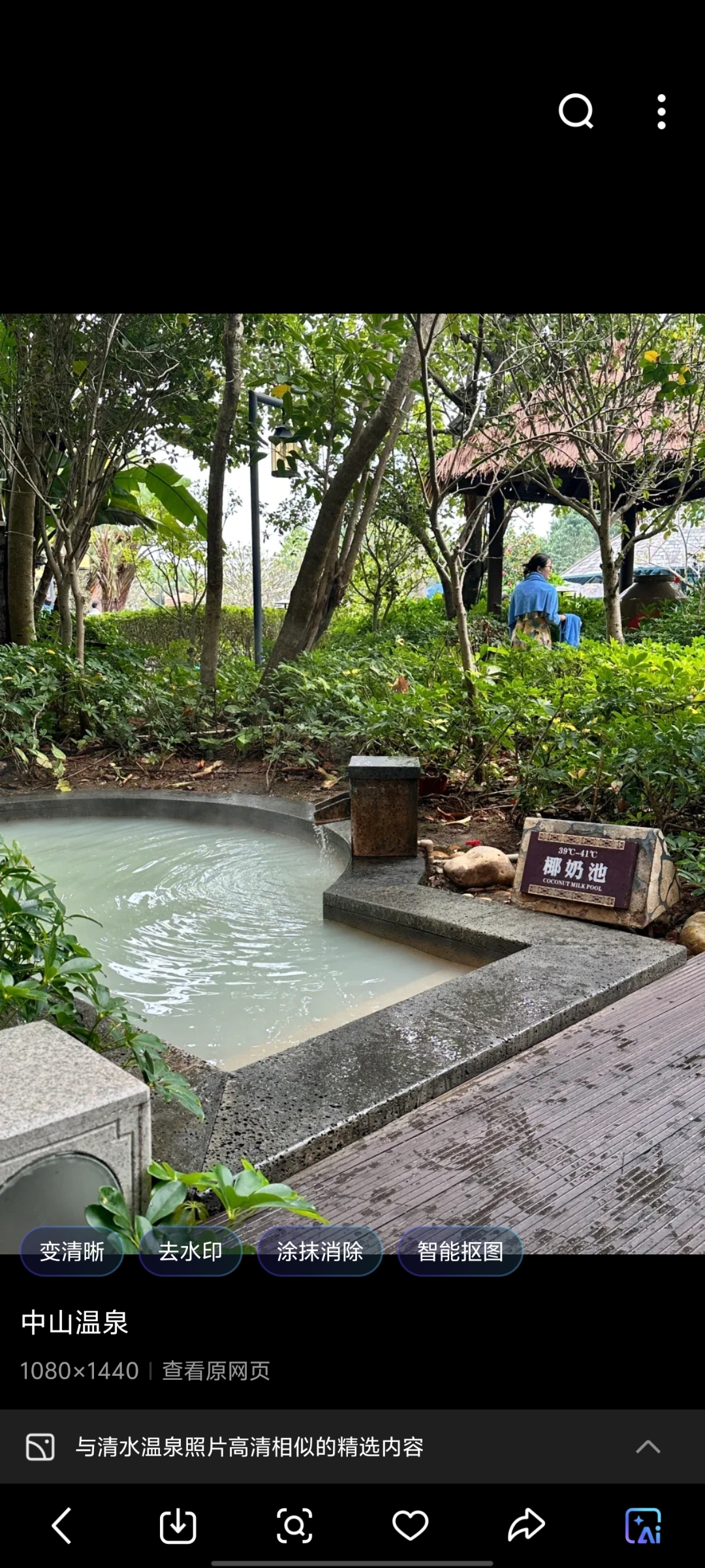 轻柔细雨高情静, 美丽温泉雅意娴. 各地宾朋频赏景, 丁香盛放好清颜