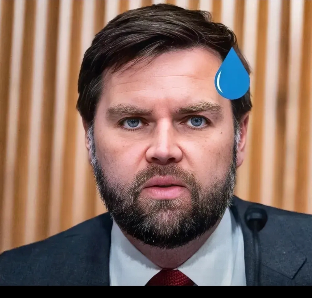 美国副总统万斯这次可真是出尽洋相