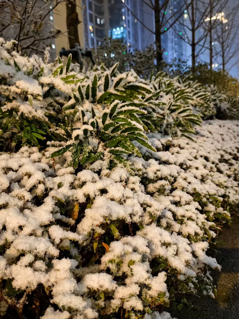 雪莹莹图片