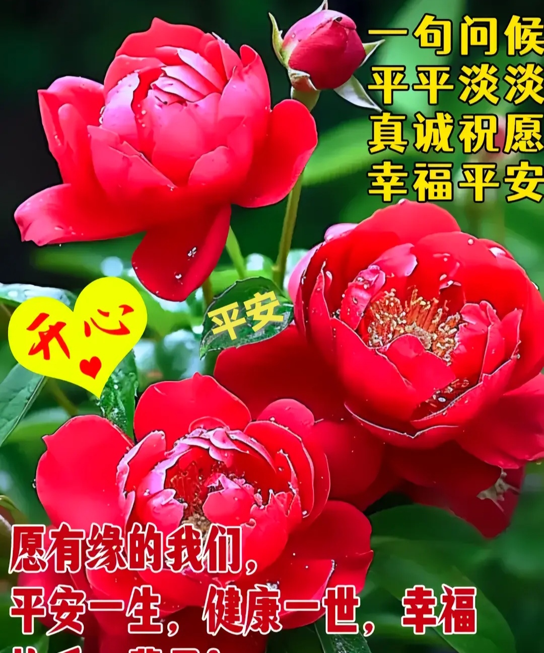 心态好一切都好.每天拥有一个好心情,笑对生活中的人和事,你会发现.