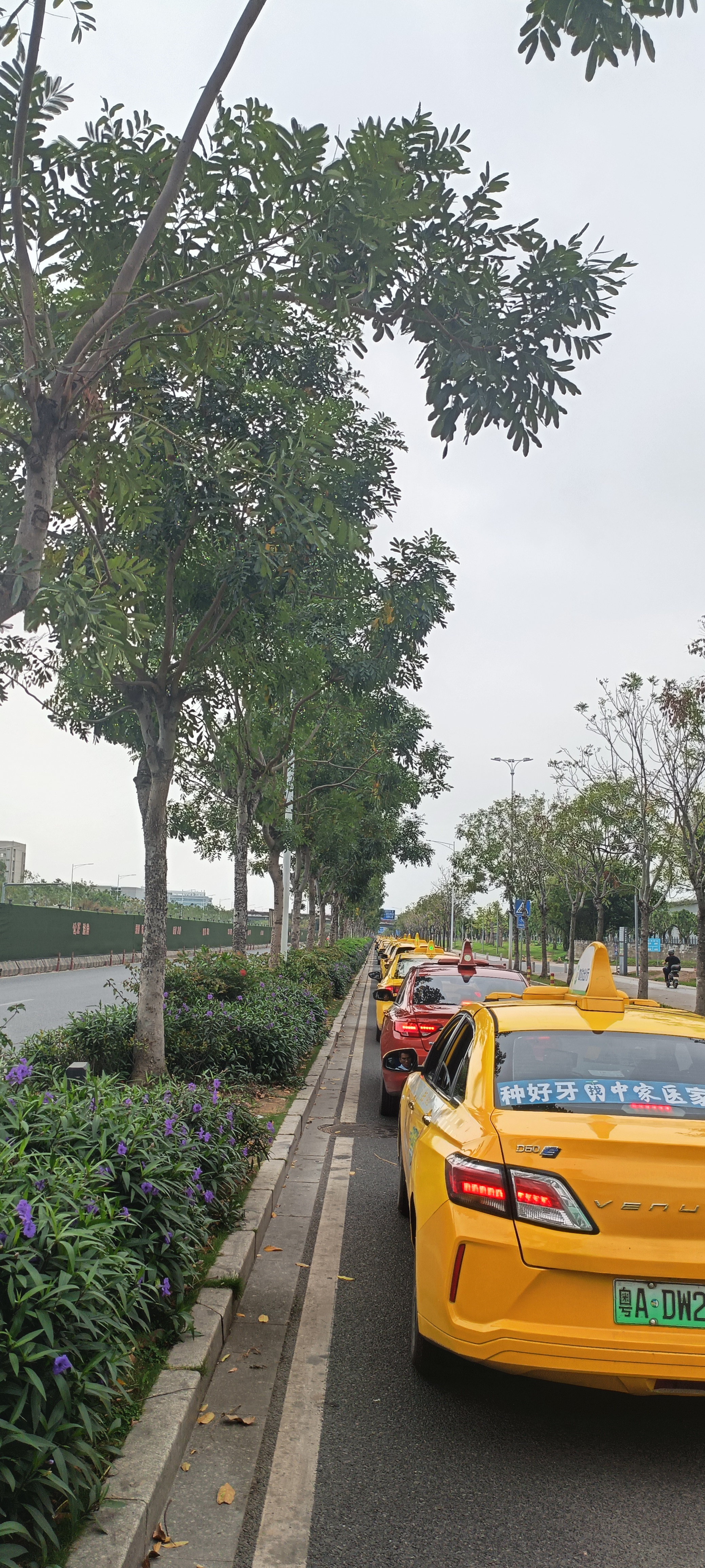 城市街头,一排排黄色和红色的出租车整齐地停放在路边,仿佛在诉说着这