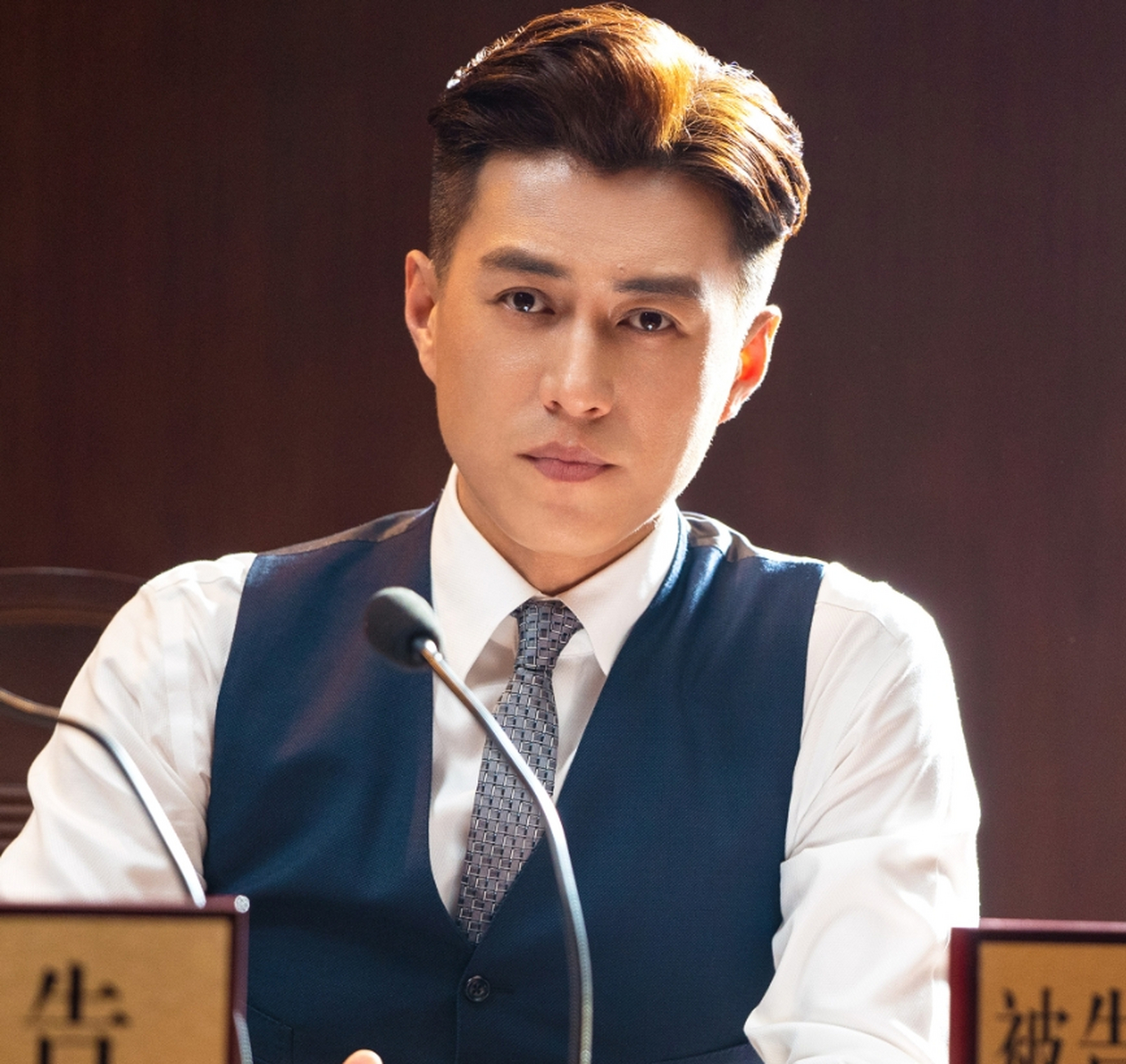 靳东在电视剧《精英律师》中饰演律师罗槟,也是权璟律师事务所高级