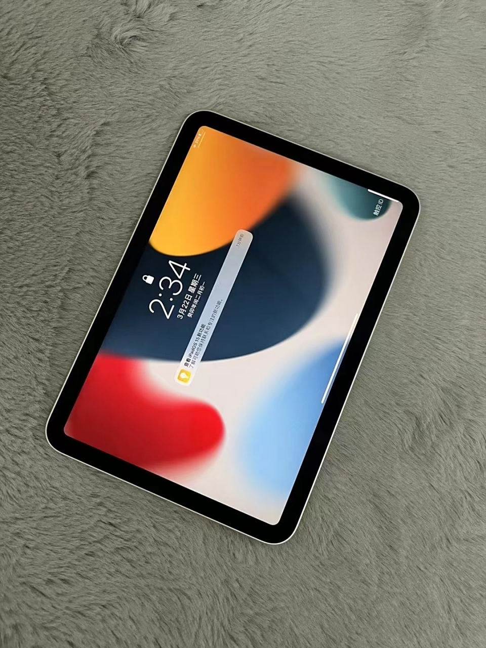 苹果ipad mini6 256国白 wifi版 全原99新 第二年在保 电池效率好96