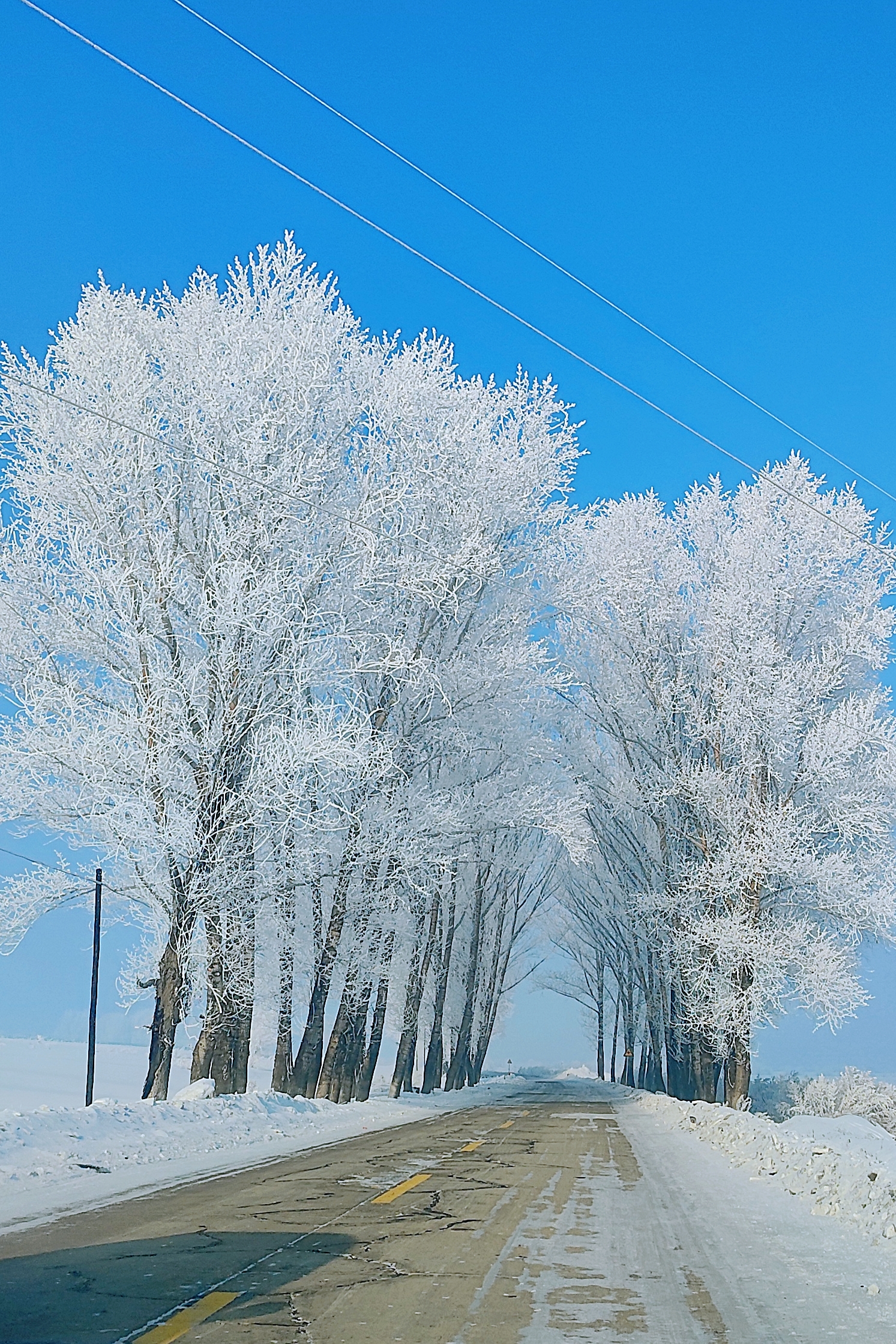 冰雪景观图片欣赏图片