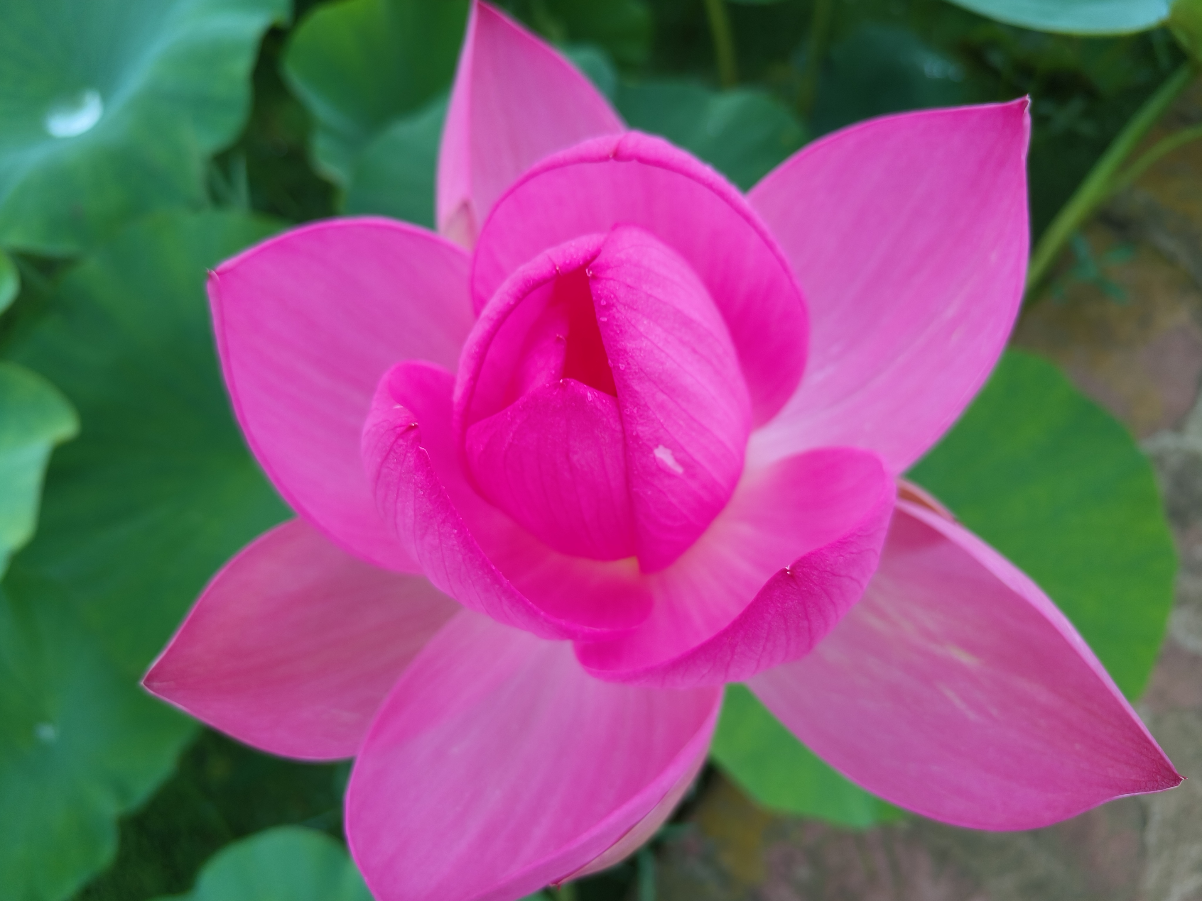 鸥栖平沙声自远,雁荡荻芦水云乡.