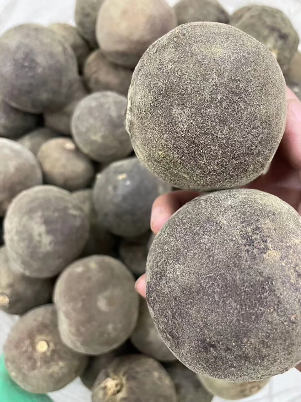 正宗广东化州橘红8年陈果9106268一斤.