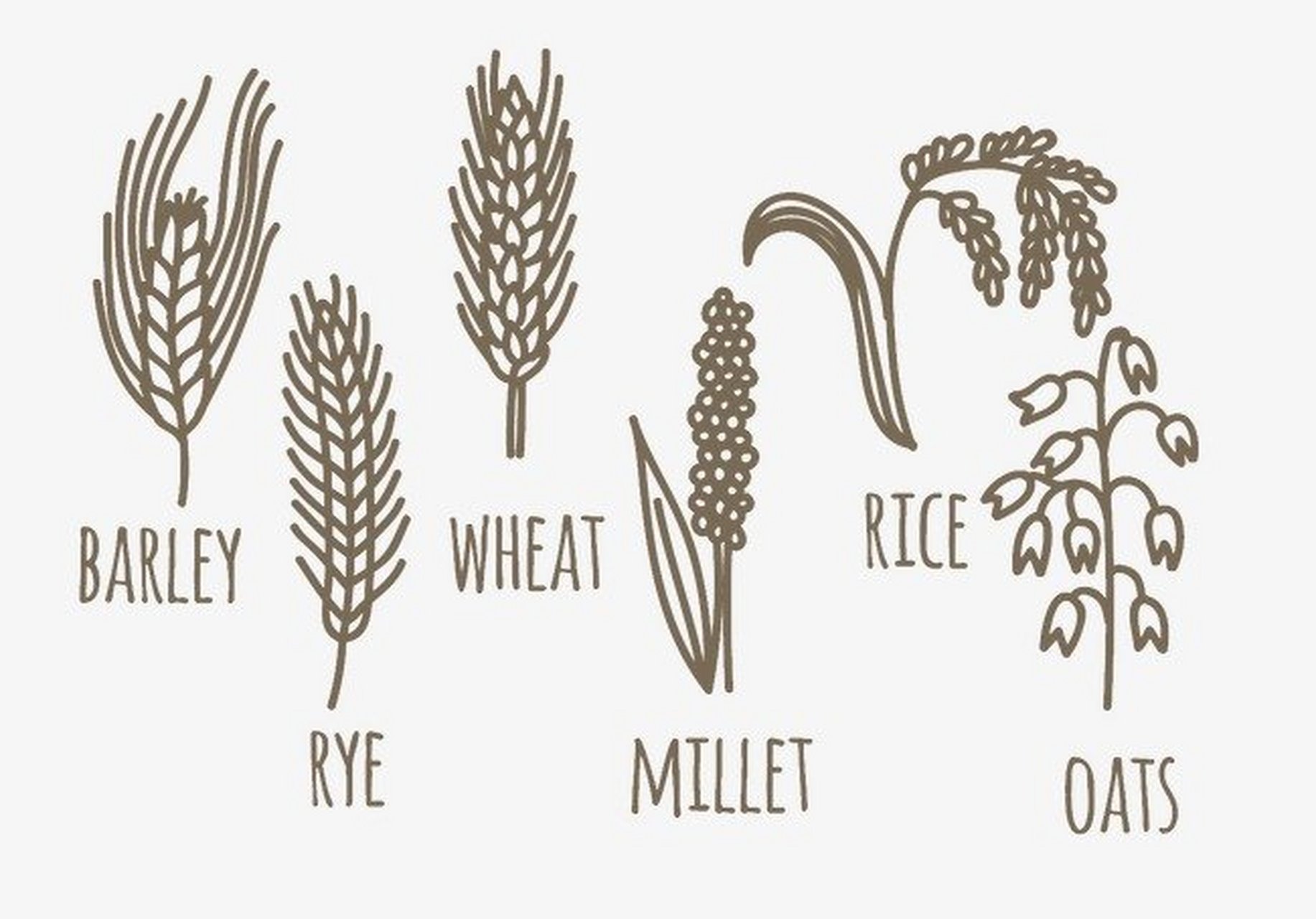 还是看看那些画心里安静……从孙智敏的群里退了挺好,当然开始会不
